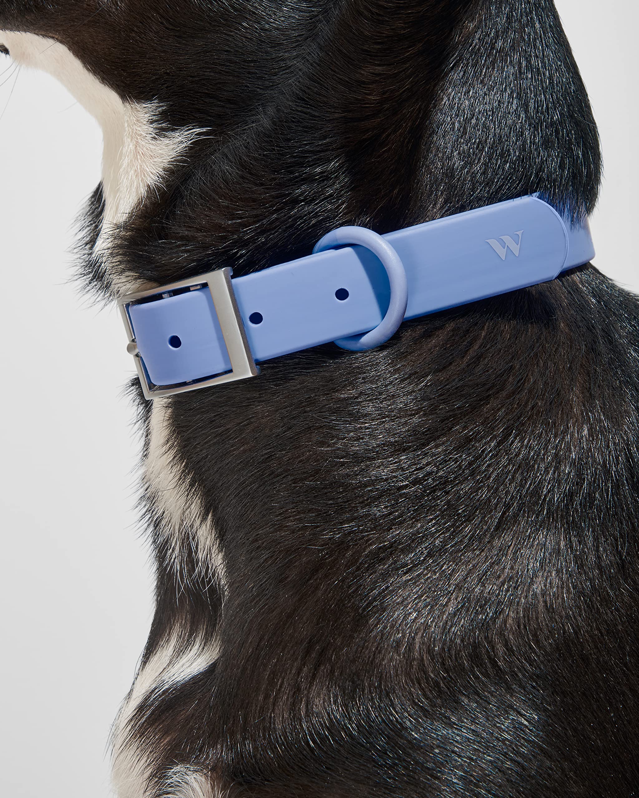Wild One Collar - Large - Moonstone