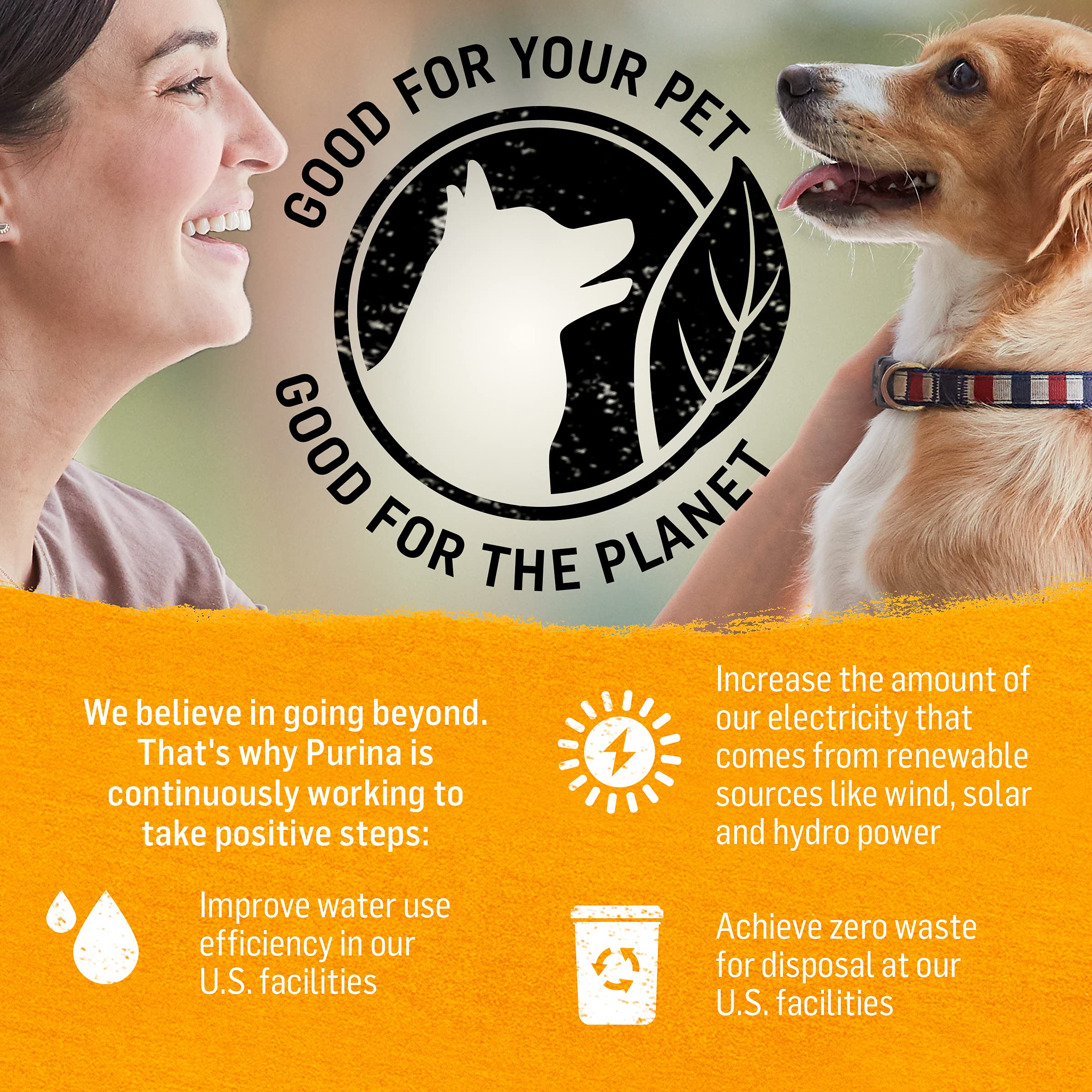 Purina Beyond Grain Free, Natural Pate Wet Dog Food, Grain Free Chicken, Carrot &amp; Pea Recipe - (12) 13 oz. Cans