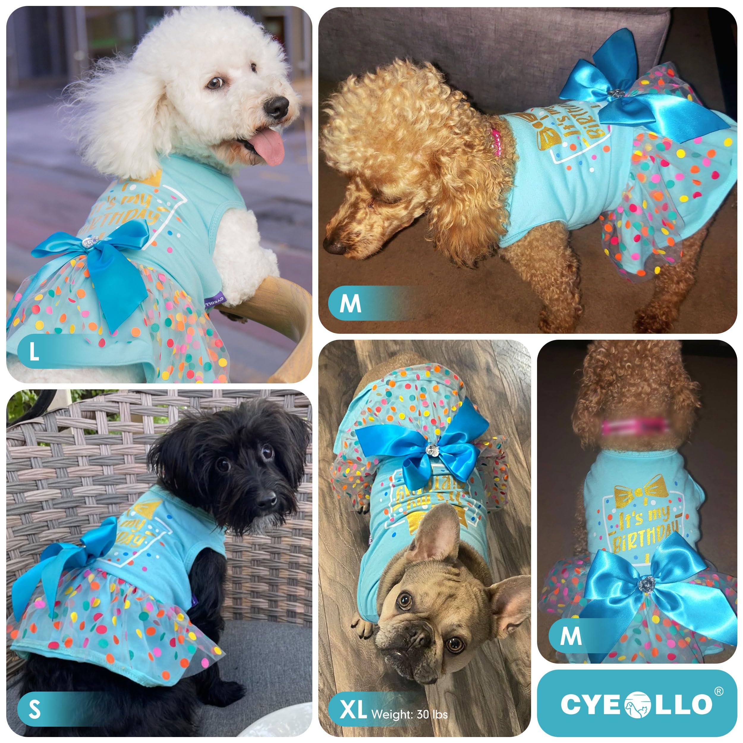 Cyeollo Dog Birthday Dress Party Tulle Dog Clothes Girl Dog Dresses For Small Medium Dogs Pet Holiday Outfit Apparel, Blue, Xl