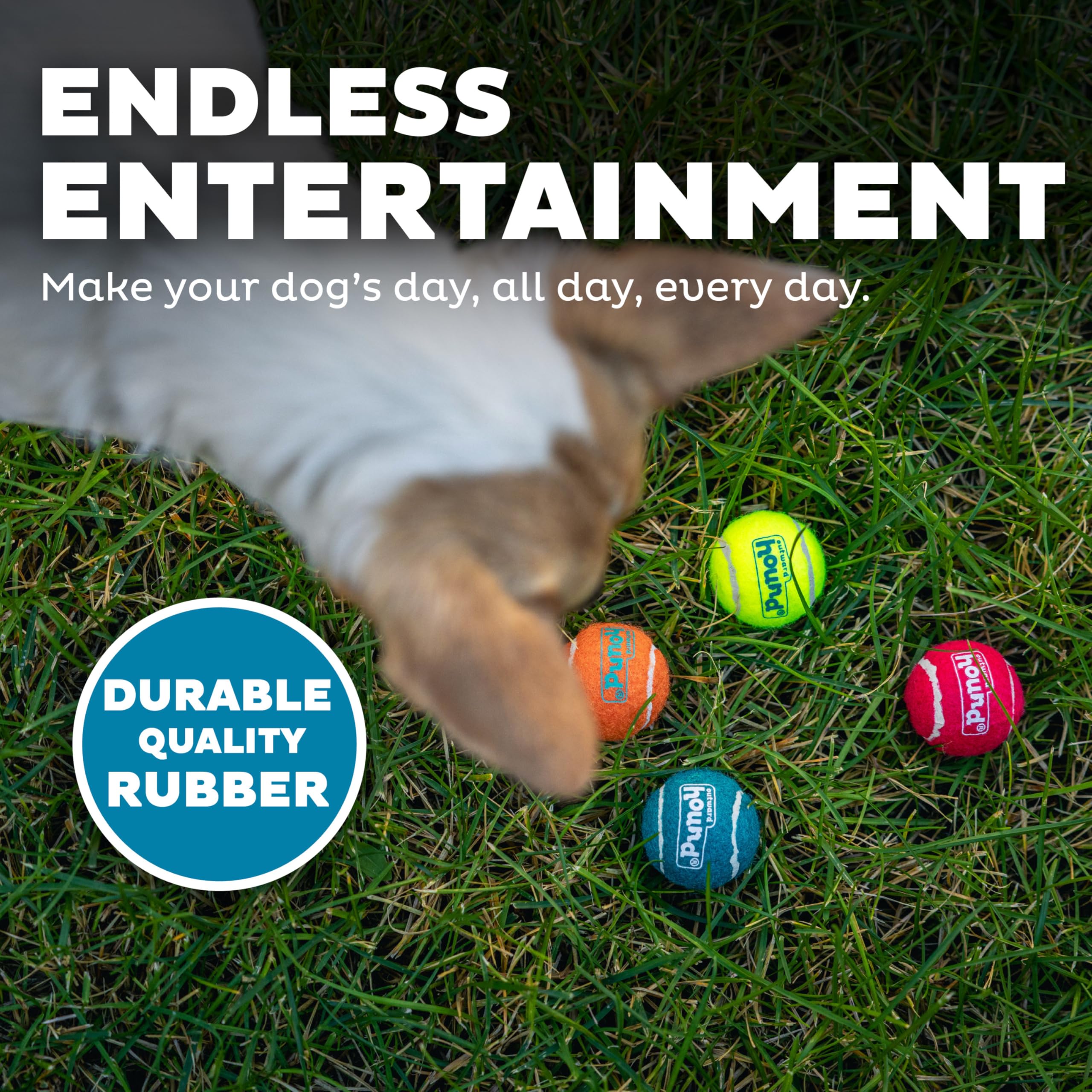 Outward Hound Squeaker Ballz – Squeaky Tennis Balls for Small Dogs, X-Small (1.5"), 8-Pack, Multi Color, Rubber