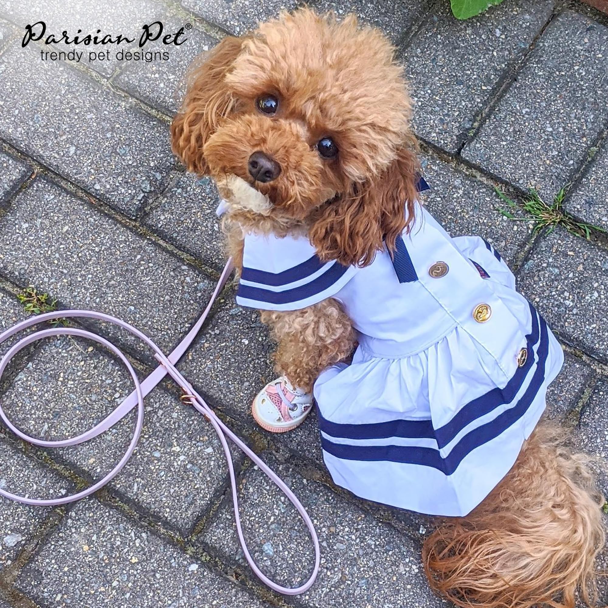 Parisian Pet Dog Dress - Lightweight Cotton Sailor Outfit - Breathable 3XL White and Blue Dress for Girls