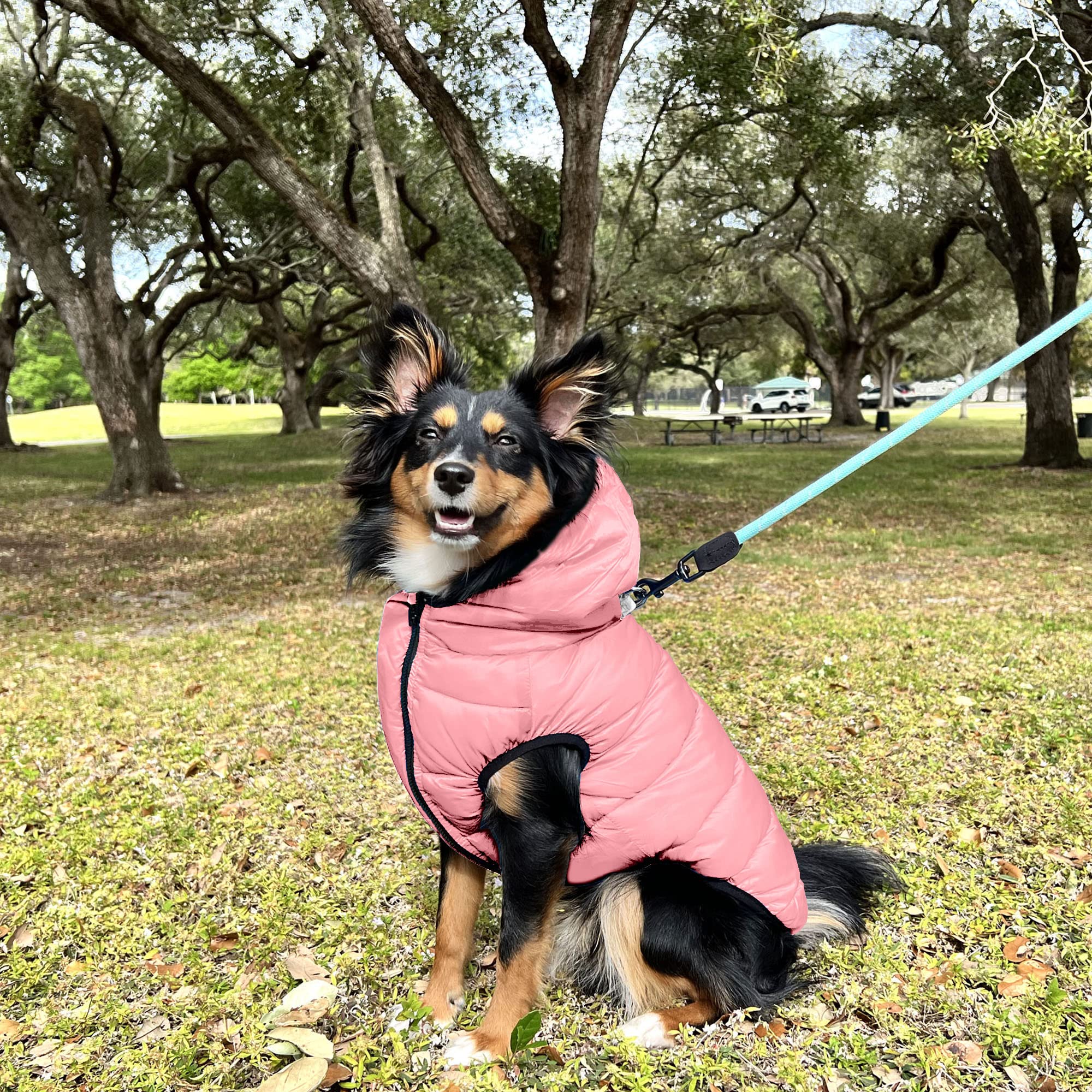 Pawtitas Reversible Dog Puffer Jacket | Water Resistant | Dog Coat For Winter To Keep Your Puppy Warm For Cold Weather Jacket |L