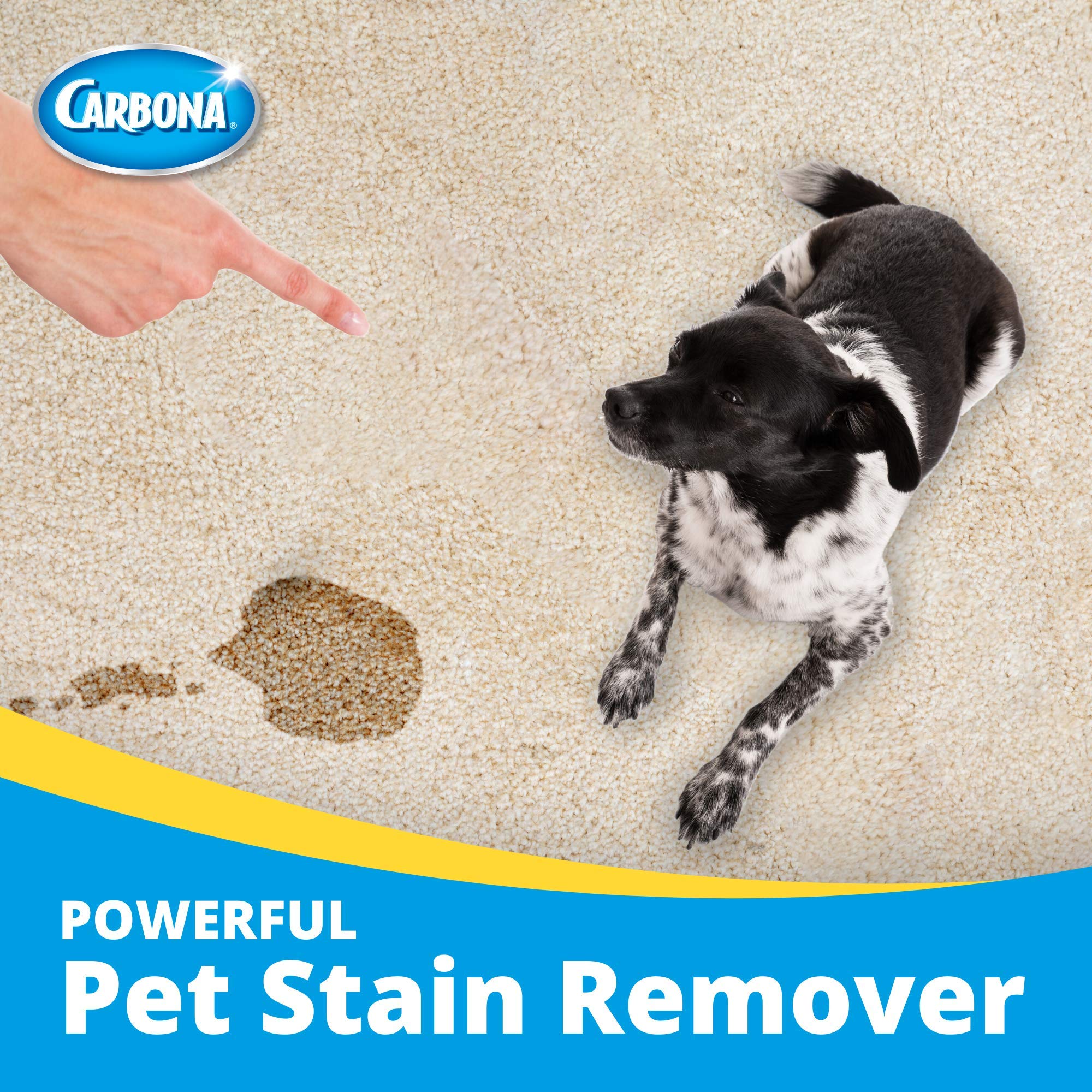 Carbona Oxy-Powered Pet Stain & Odor Remover, 22 Fl Oz, 2 Pack - Active Foam Technology for Effective Cleaning