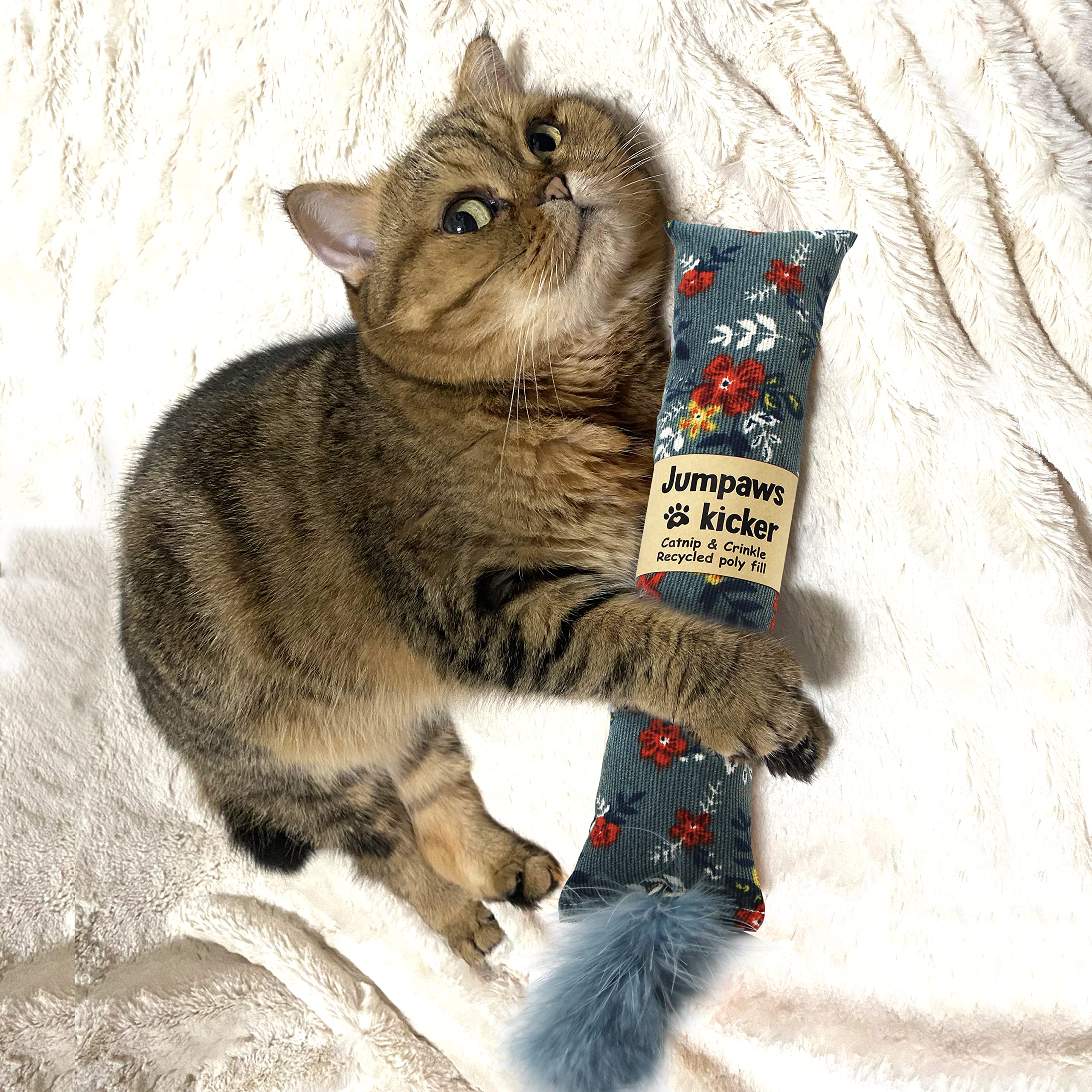 Jumpaws Cat Kicker Toys 2 Pack - Natural Catnip & Silvervine, Soft Corduroy, Feathers, Bite Resistant, Indoor Cat Accessories, Model AD-8919