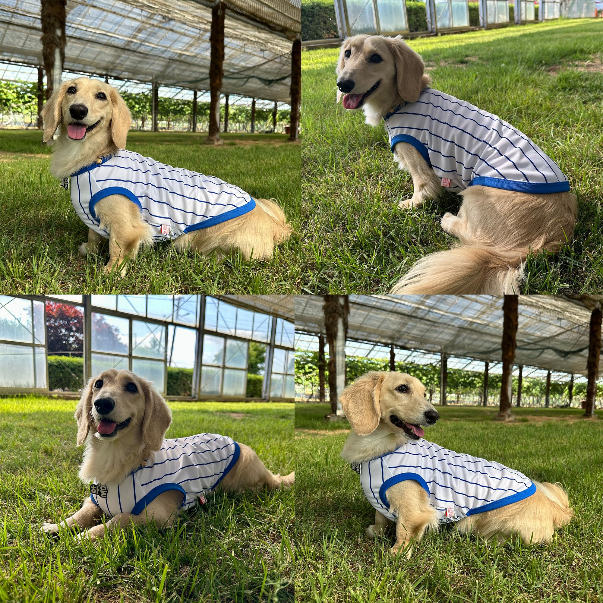 D Doggy Star Dachshund Clothes For Dogs Baseball Mini And Adults T Shirts (M,Baseball Blue)