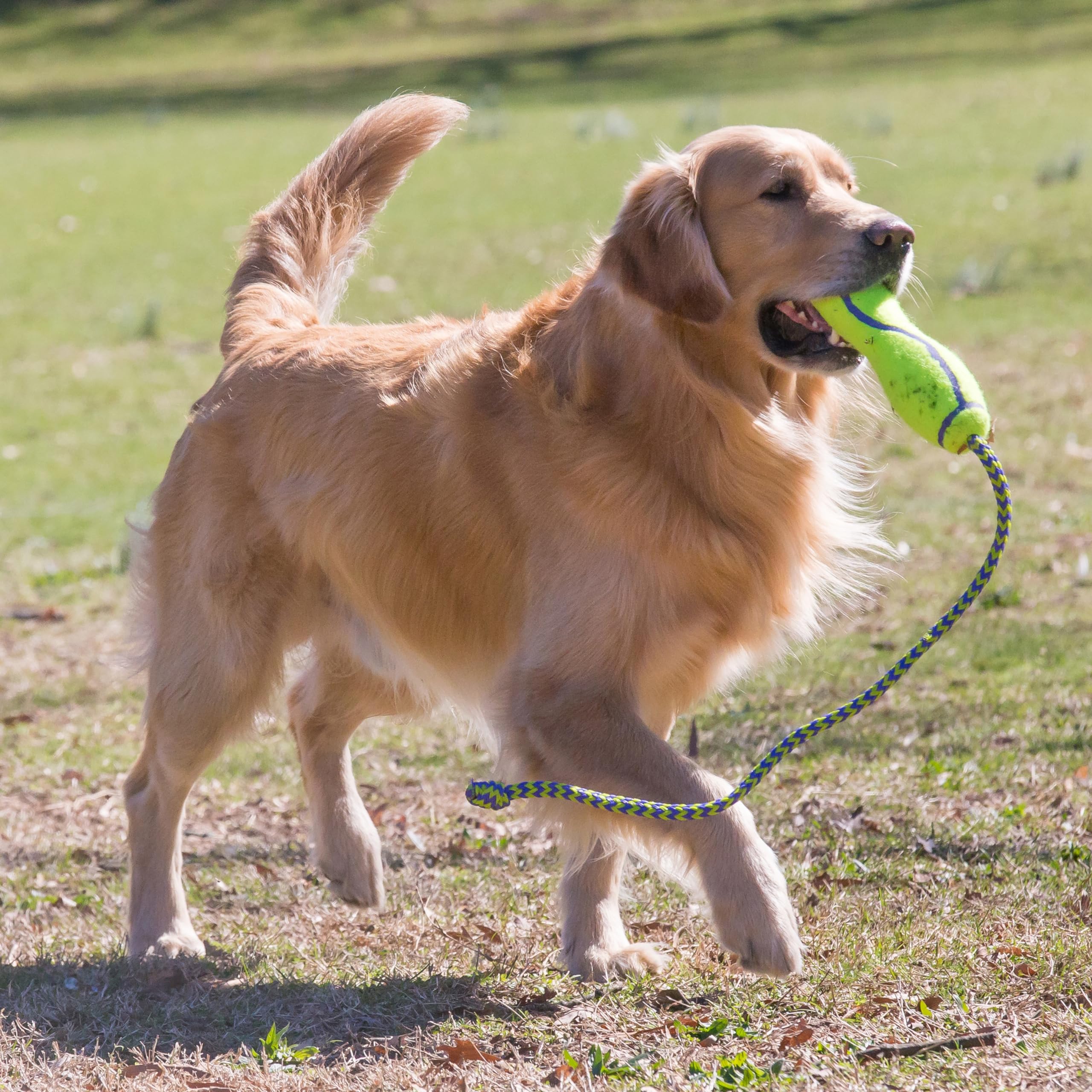 Kong Airdog Fetch Stick W/Rope Lg