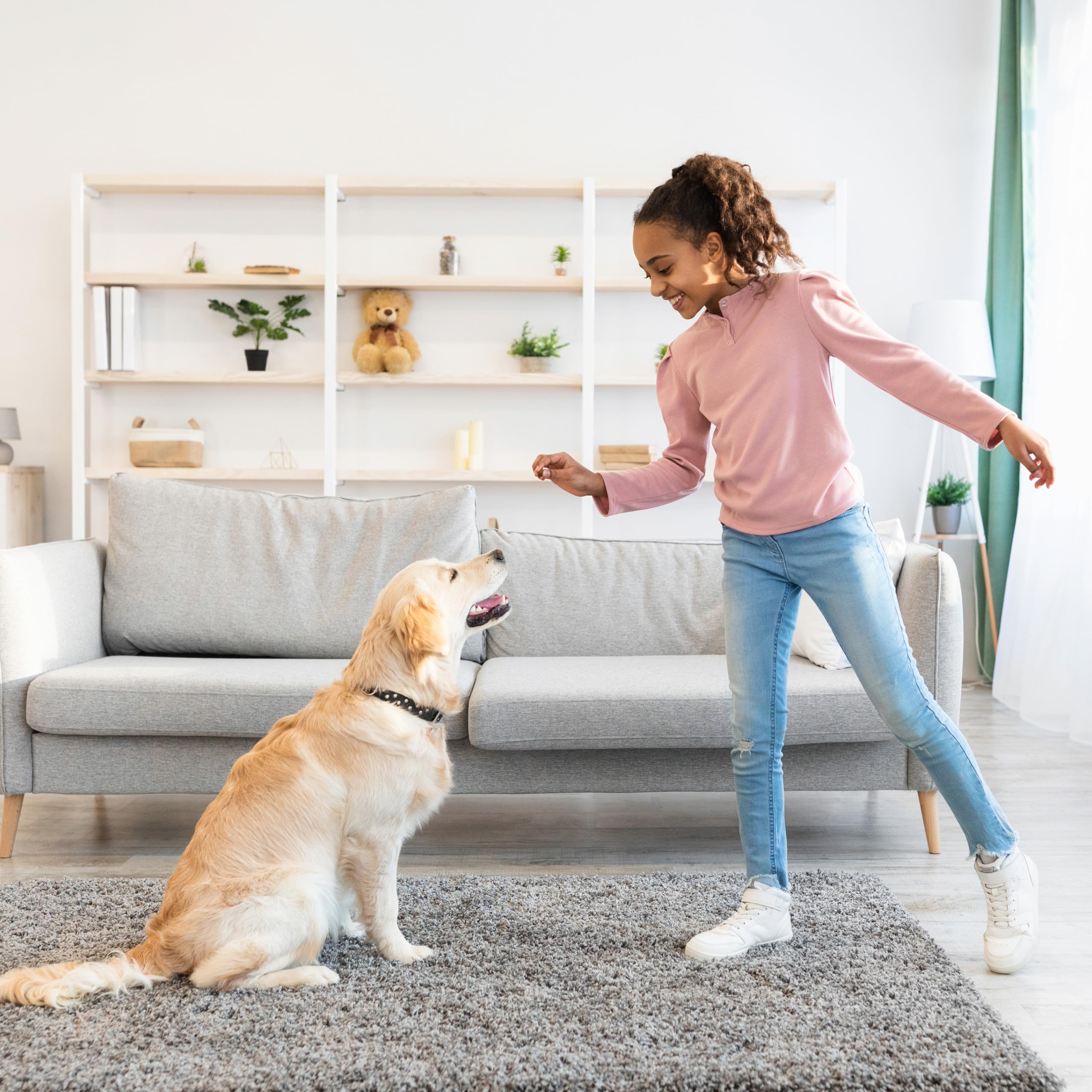 Exclusively Dog Best Buddy Bits Training Treats for Dogs and Puppies - All Natural, Baked in The USA, Ideal for Training & Agili