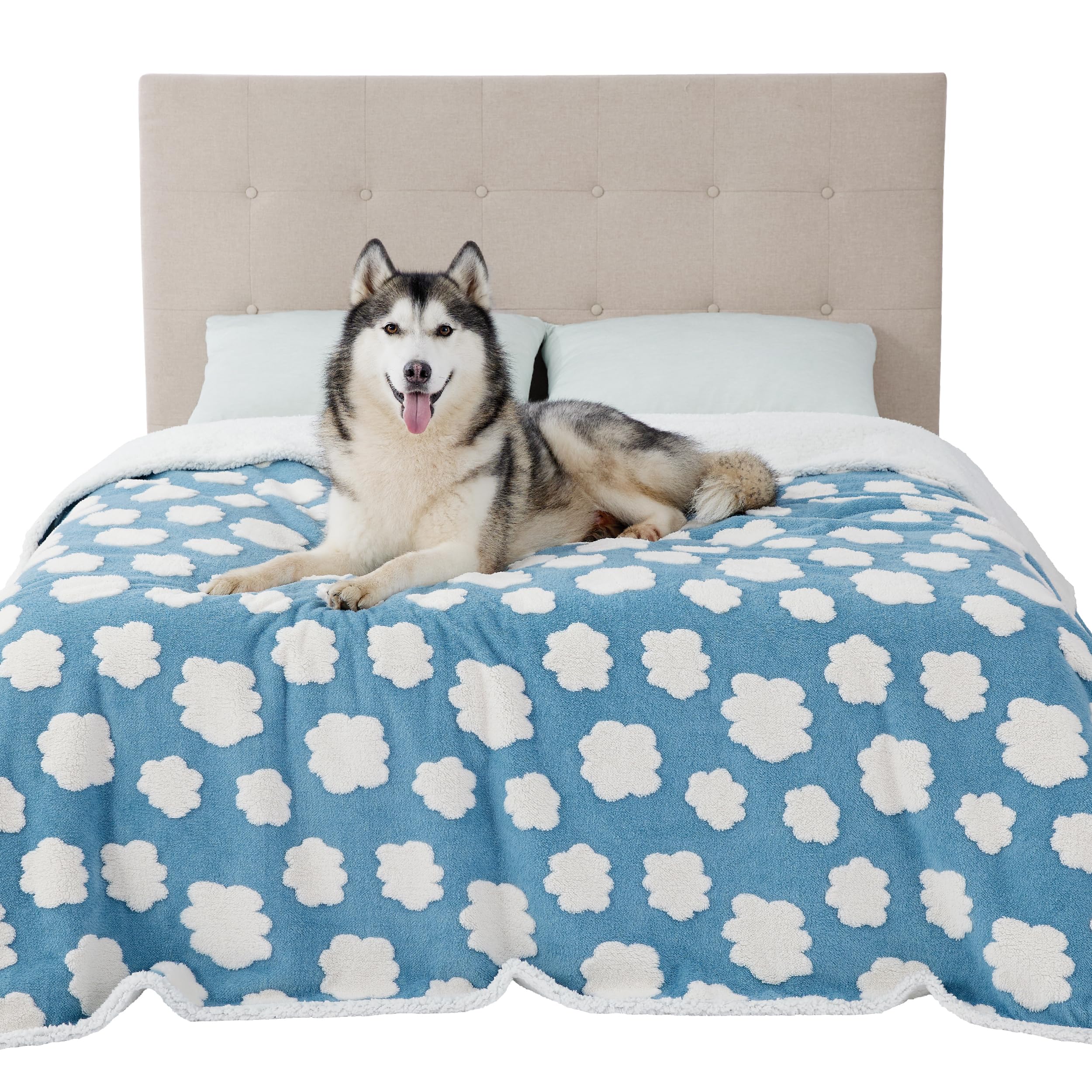 Lesure Waterproof Dog Blanket For Large Dogs - Washable Double Sided Dog Blankets With Warm Jacquard Shag And Soft Sherpa Fleece, Pet Cat Blanket For Queen Bed Protection, 3D Textured Cloud, Blue