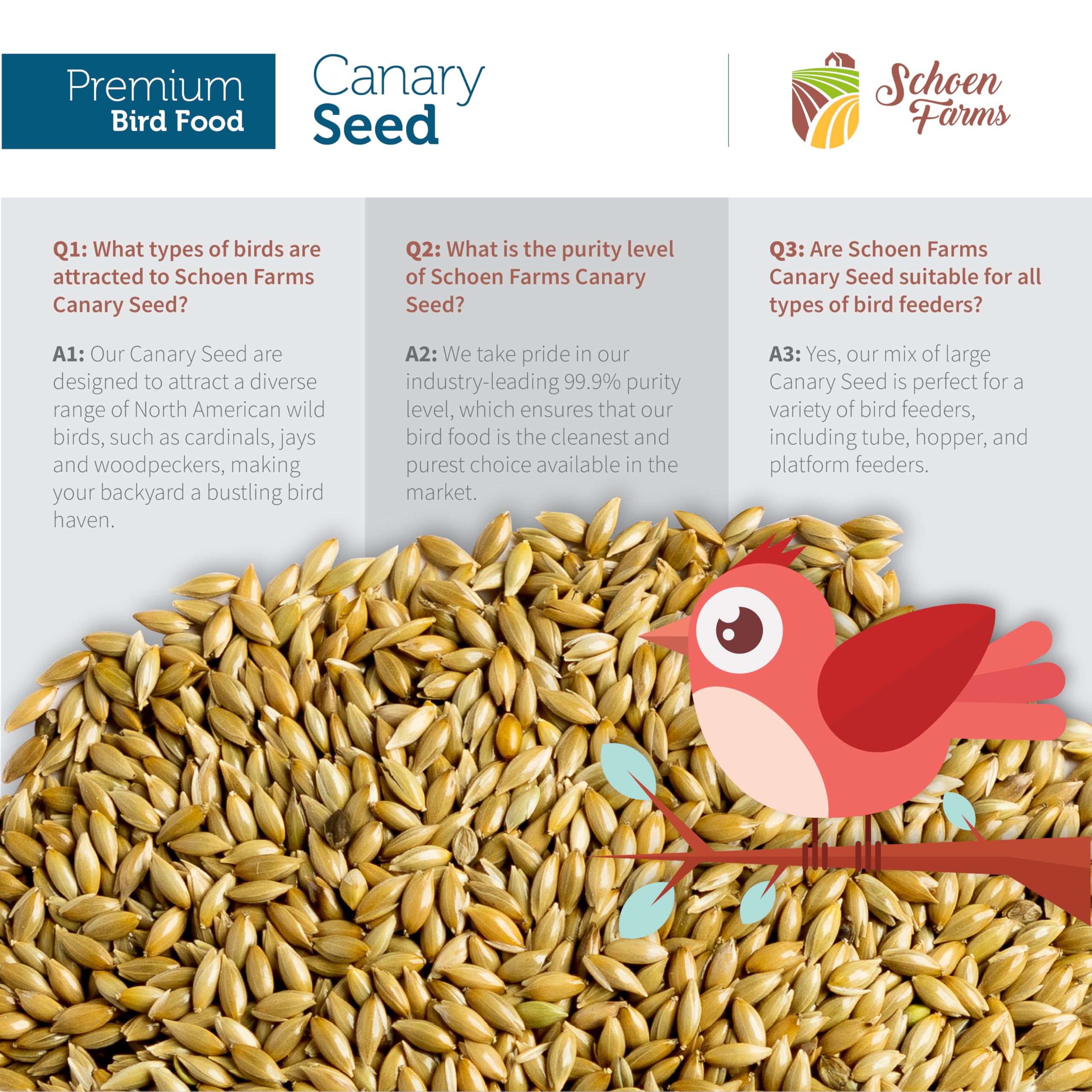 Schoen Farms Premium Canary Seed for Birds (5 LBS)