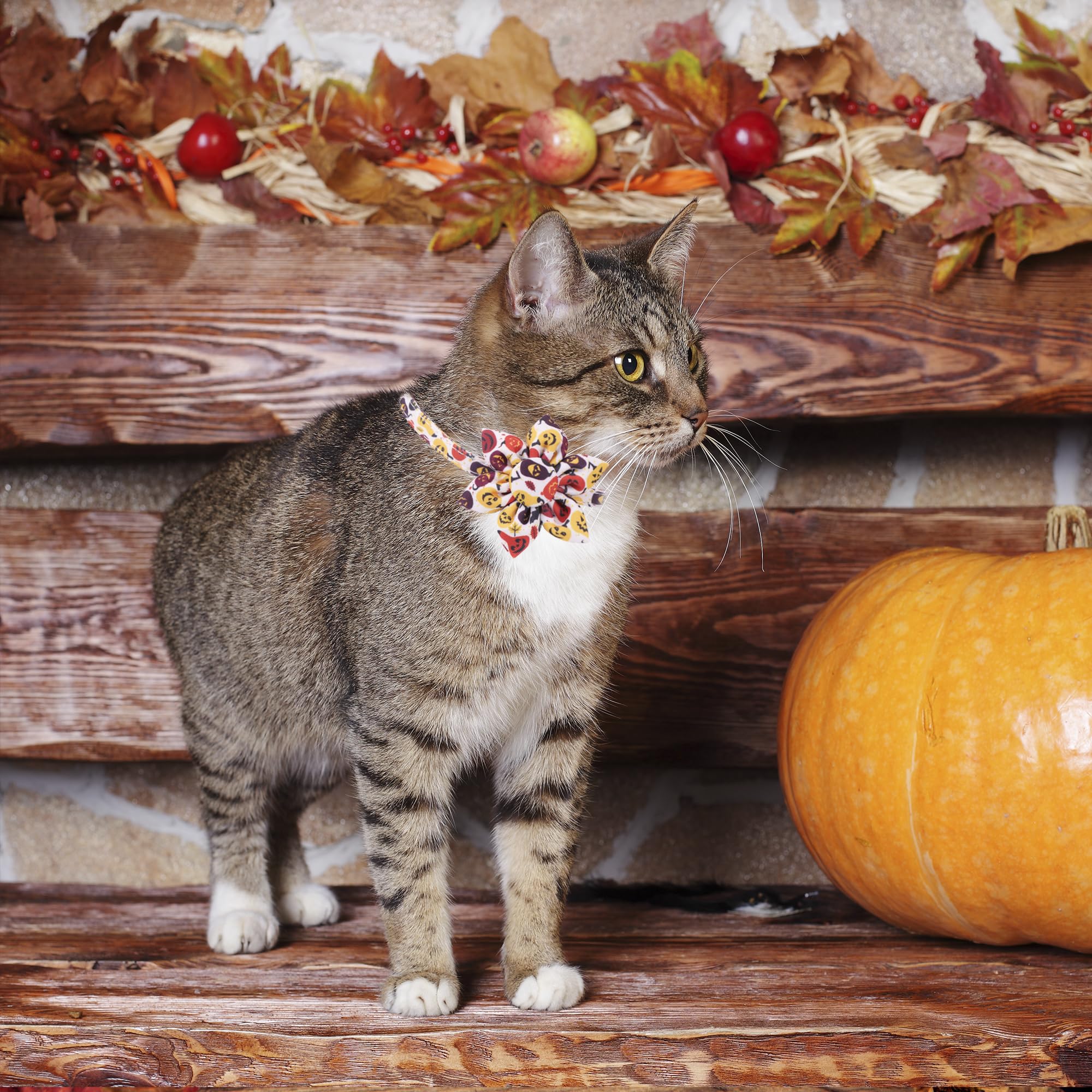 Adoggygo Halloween Cat Collar With Floral, 2 Pack Halloween Kitten Flower Collar, Pink Ghost Pumpkin Collars For Cats Kittens