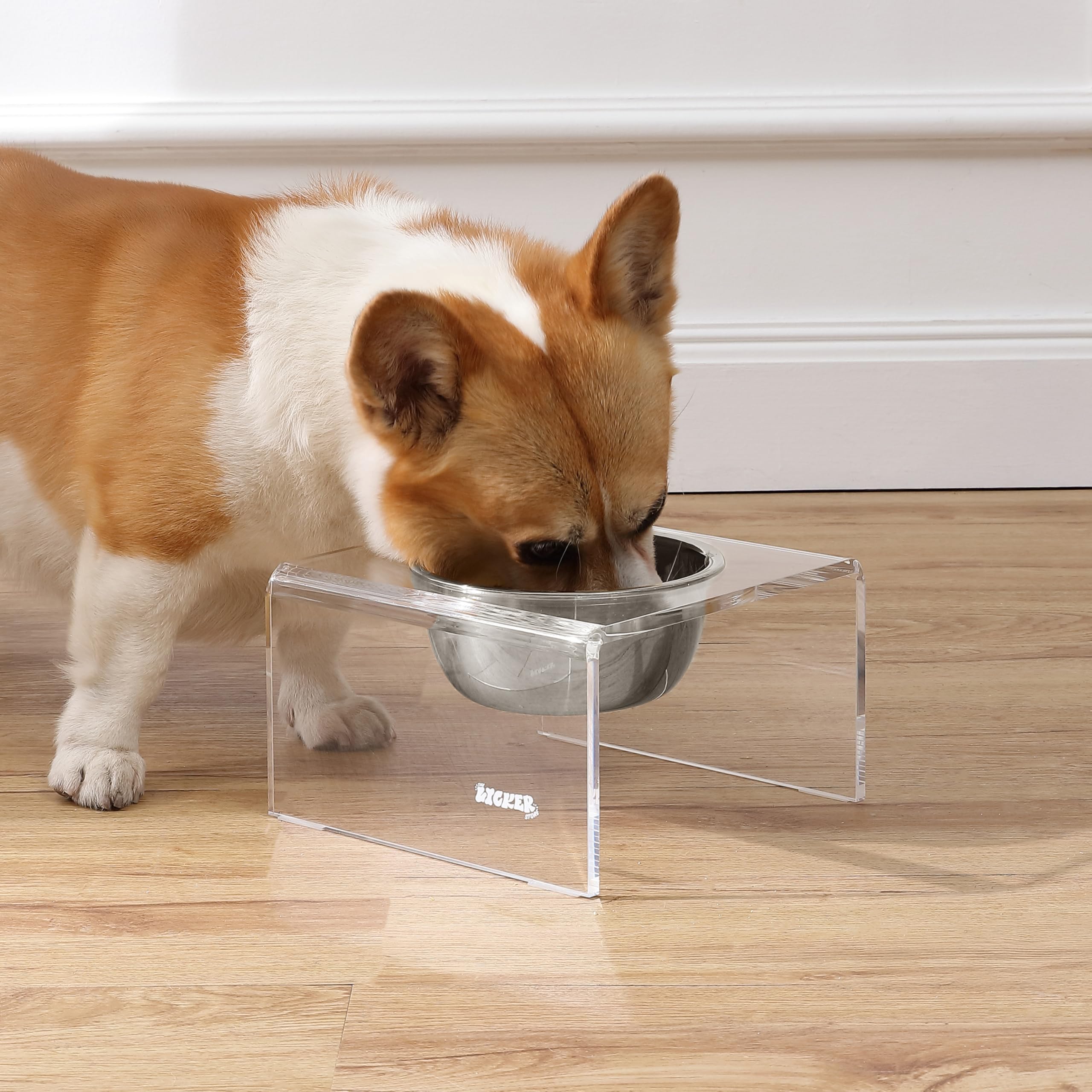 The LICKER Store DBL2002A Keaton 5 Small/Medium Modern Acrylic Rectangular Elevated Pet Feeder with 20oz 1-Stainless Steel Bowl,