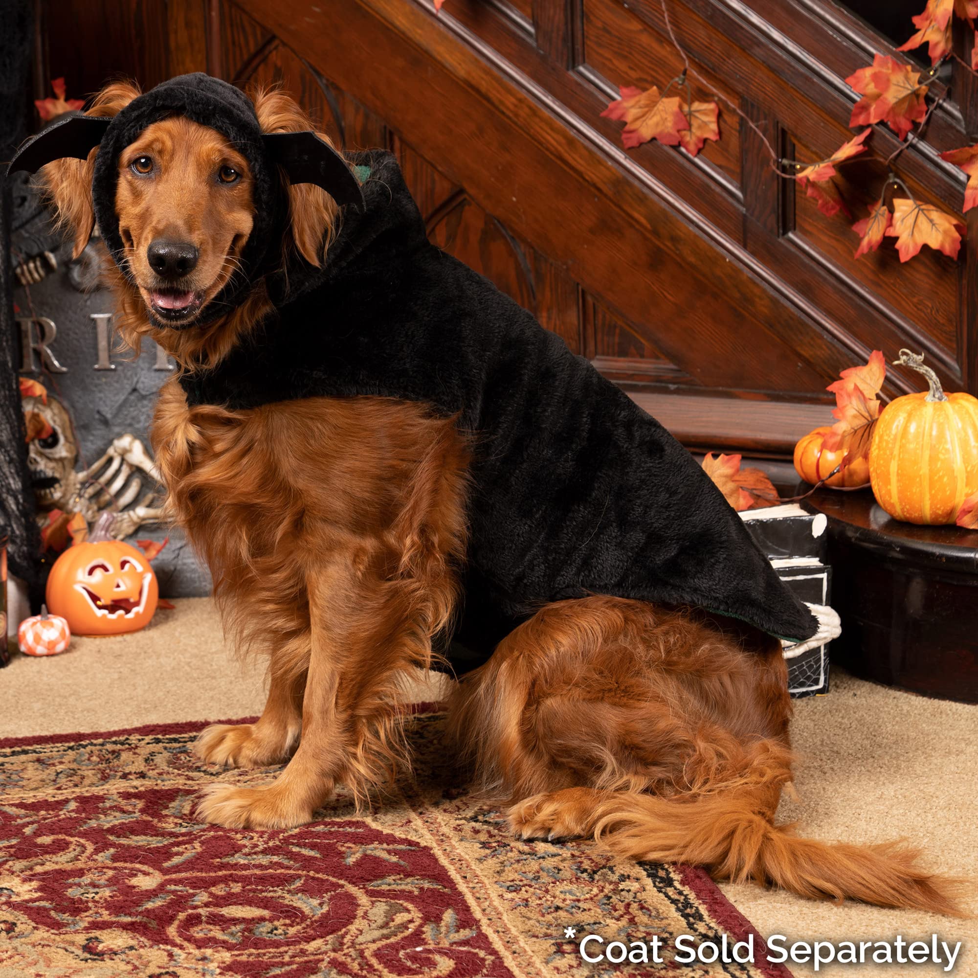 Furhaven Lg-Xl Dog Hat Flex-Fit Black Bat Plush Faux Fur Halloween Costume, Washable - Black, Large To X-Large