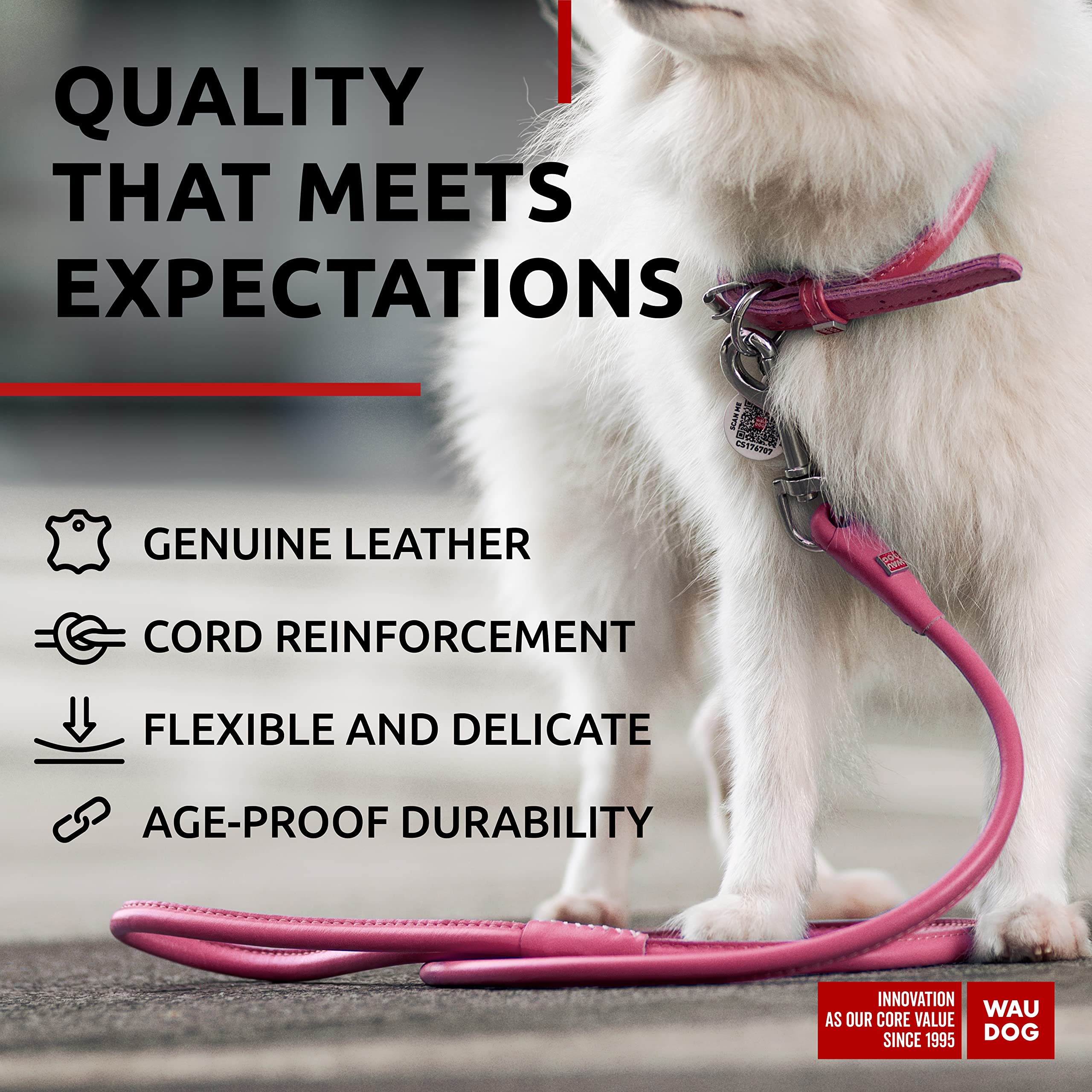 Waudog Rolled Leather Dog Leash 4Ft * 0.3 In For Small Medium And Large Dogs - Heavy Duty Leather Puppy Leash For Outdoor Walkin