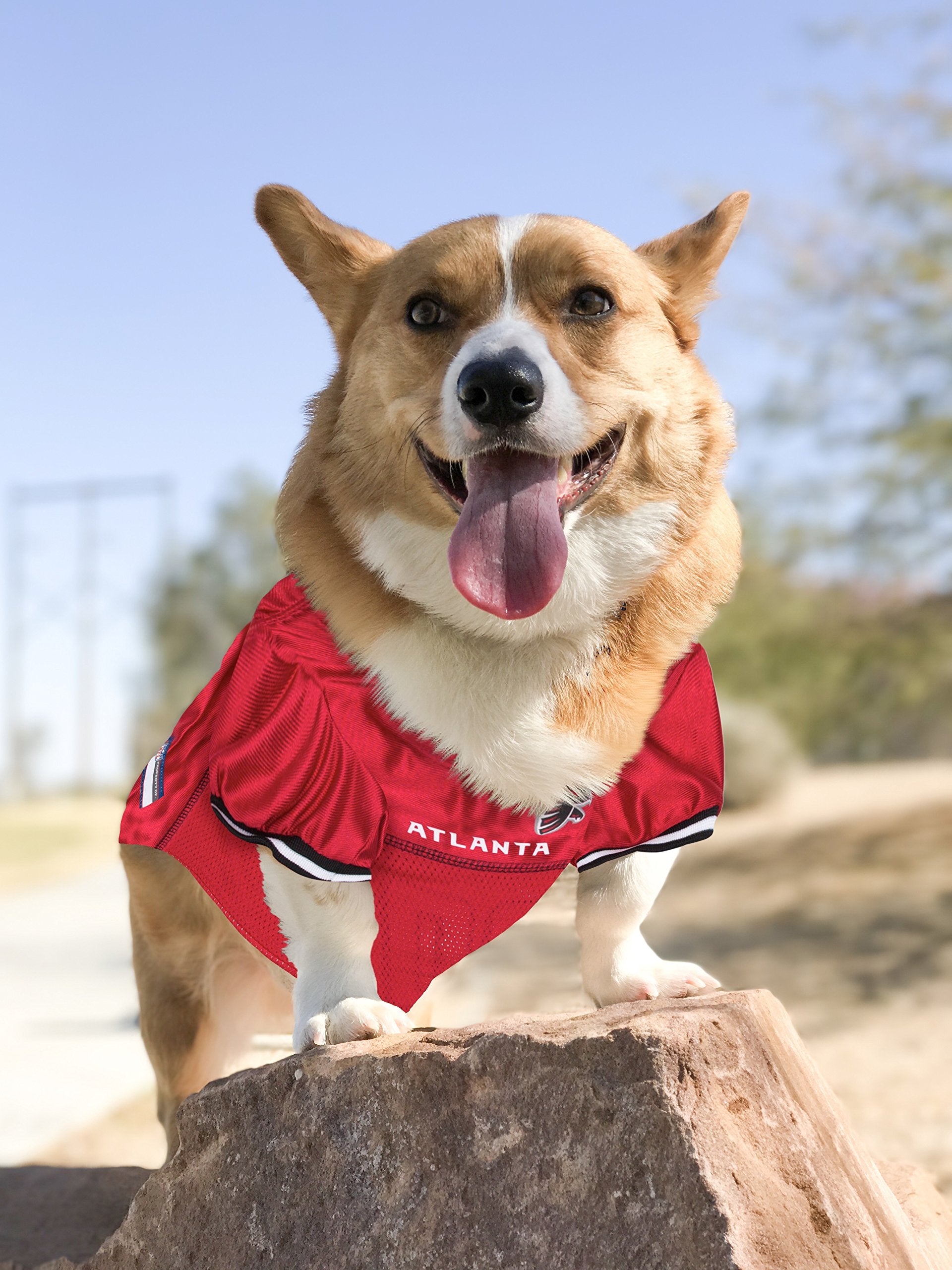 Pets First Atlanta Falcons NFL Mesh Pet Jersey, X-Large, Multi-Color