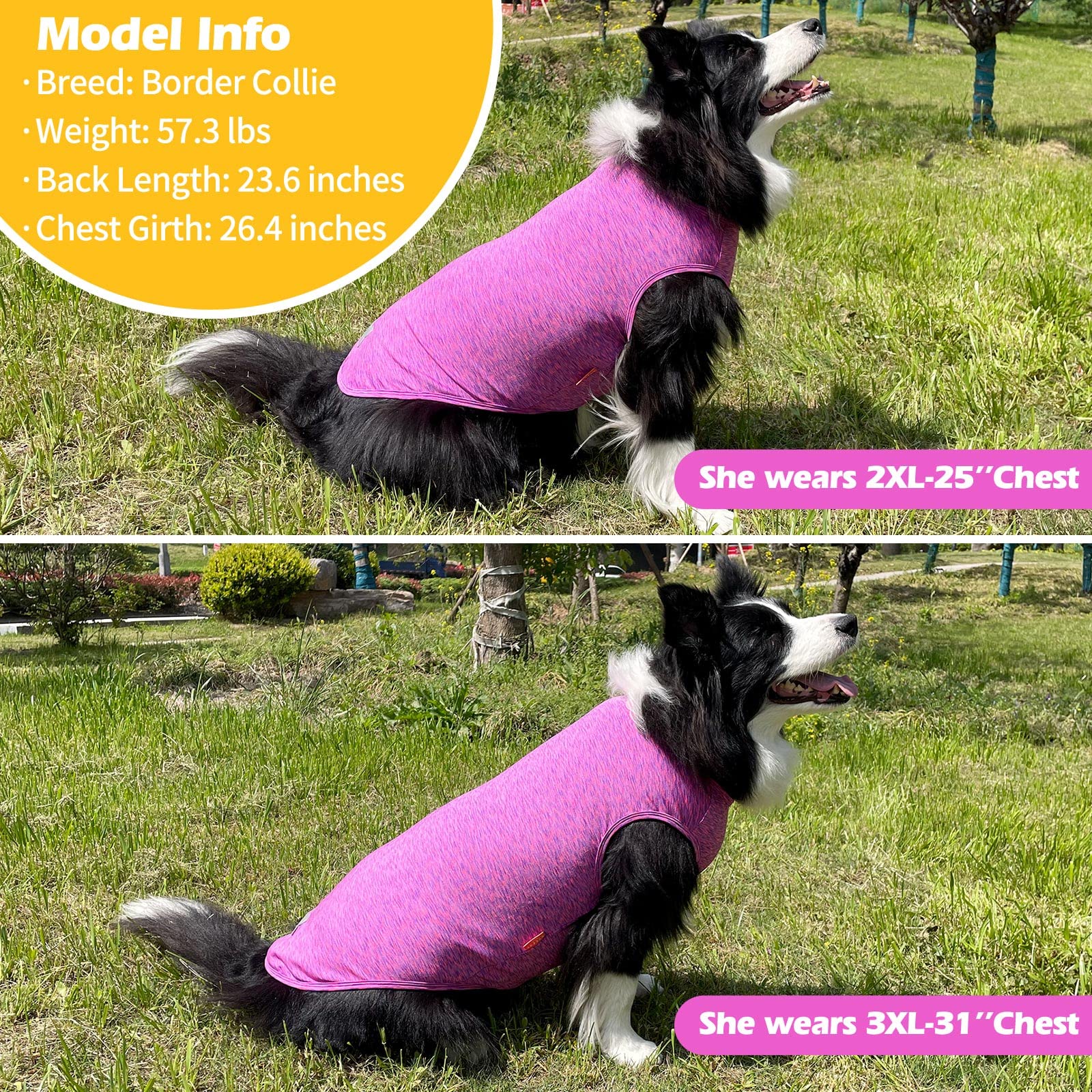 Kyeese 2 Pack Dog Shirts Quick Dry Soft Stretchy Dog T-Shirts With Reflective Label Tank Top Sleeveless Vest Pet Clothes For Sma