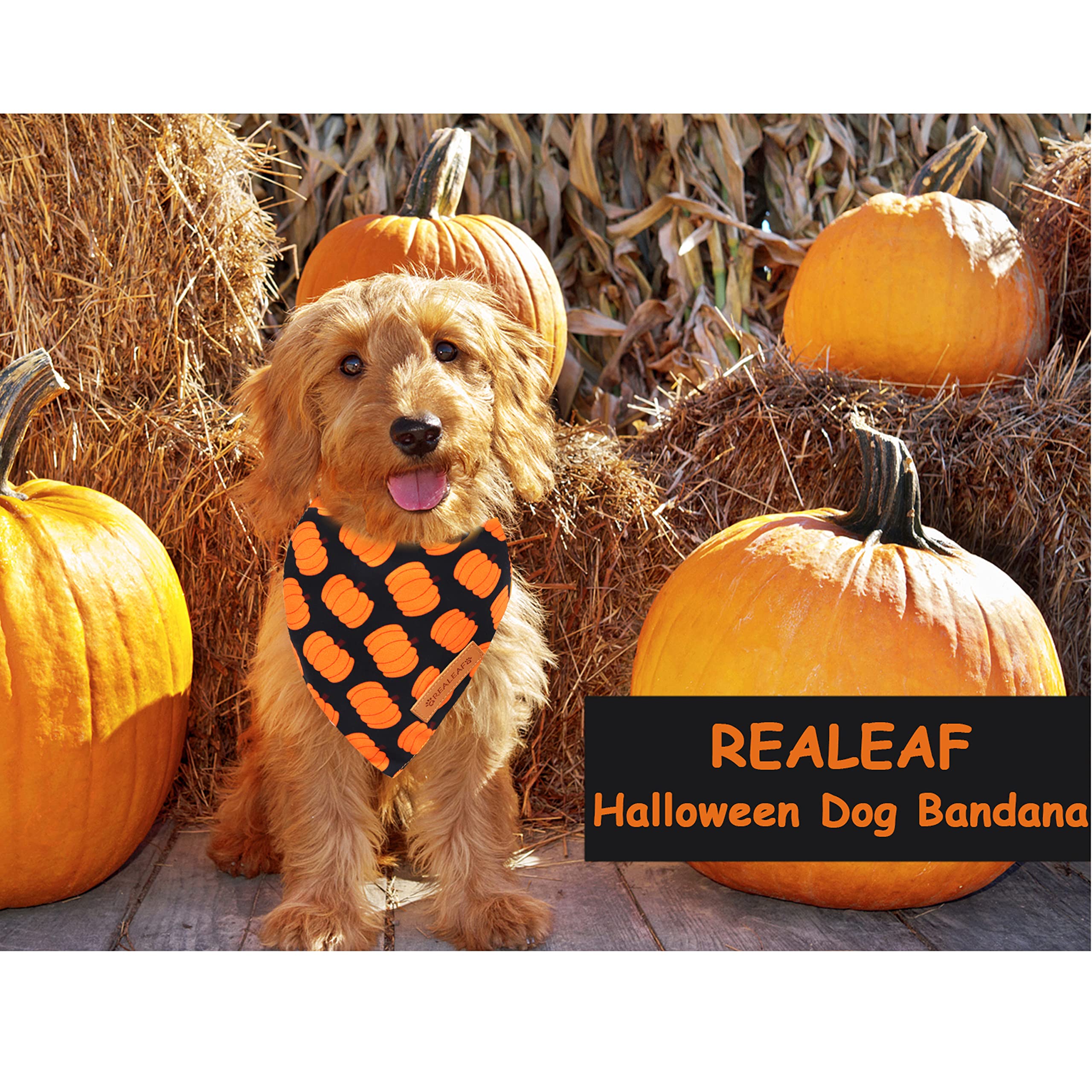 Realeaf Halloween Dog Bandanas 2 Pack, Pumpkin Dog Bandana Fall Dog Scarf For Boy And Girl, Premium Durable Fabric, Orange Holiday Bandana For Large And Extra Large Dogs (X-Large)