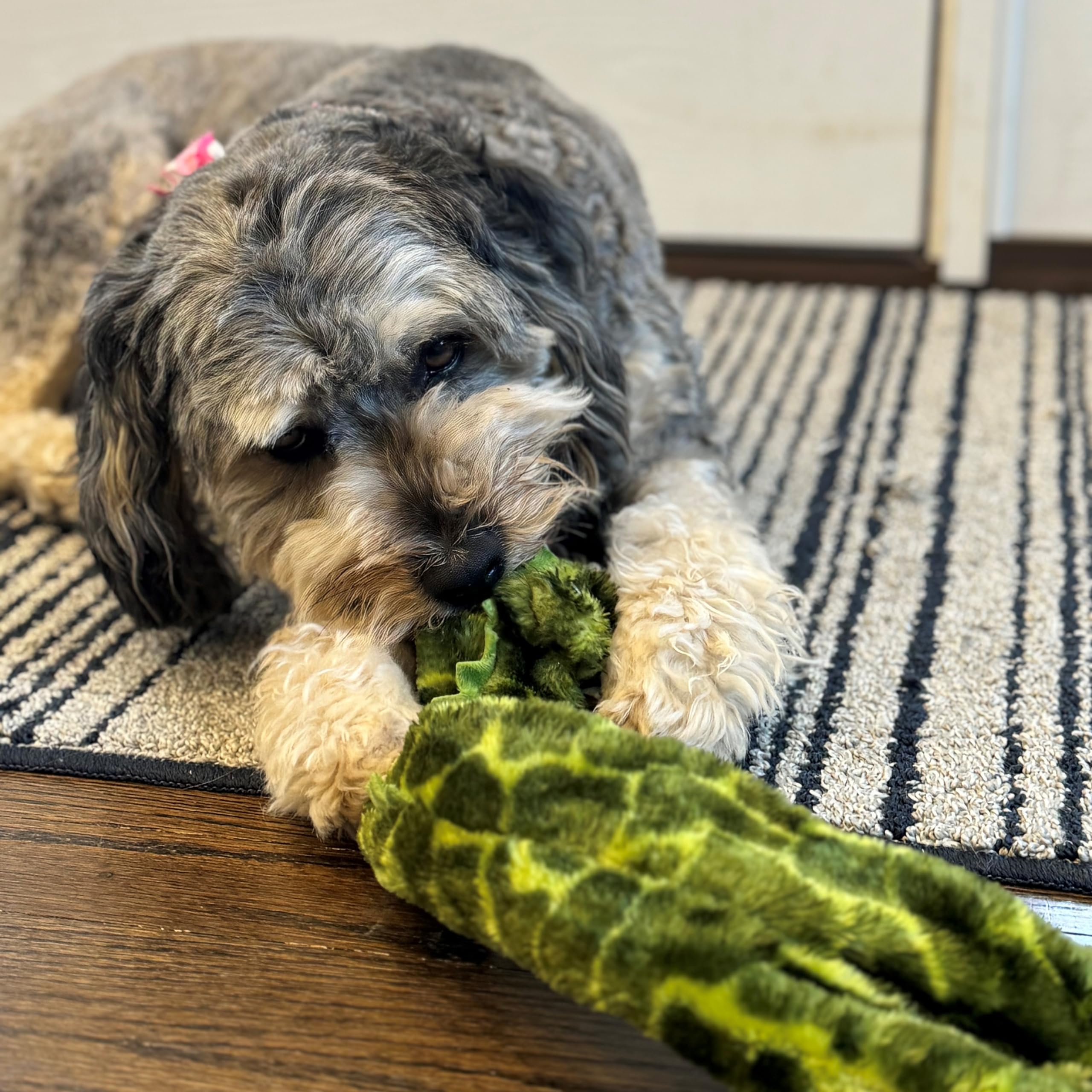Spot Skinneeez Tugs Jungle Dog Toy - Rope Design For Extra Strength, With Squeaker & Crinkle, Stuffingless Design For Strong Chewers, Tug Toy For Medium To Large Puppies & Dogs - 23In, Style May Vary