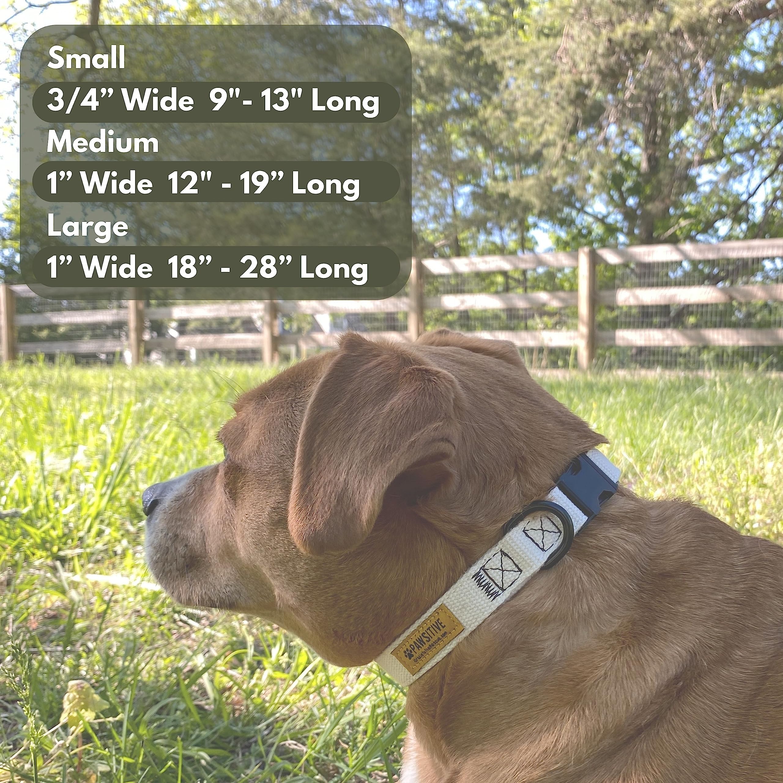Pawsitive Hemp Dog Collar - Super Soft Hypoallergenic Lining. Great For Small, Medium And Large Dogs; Large Rosemary Red