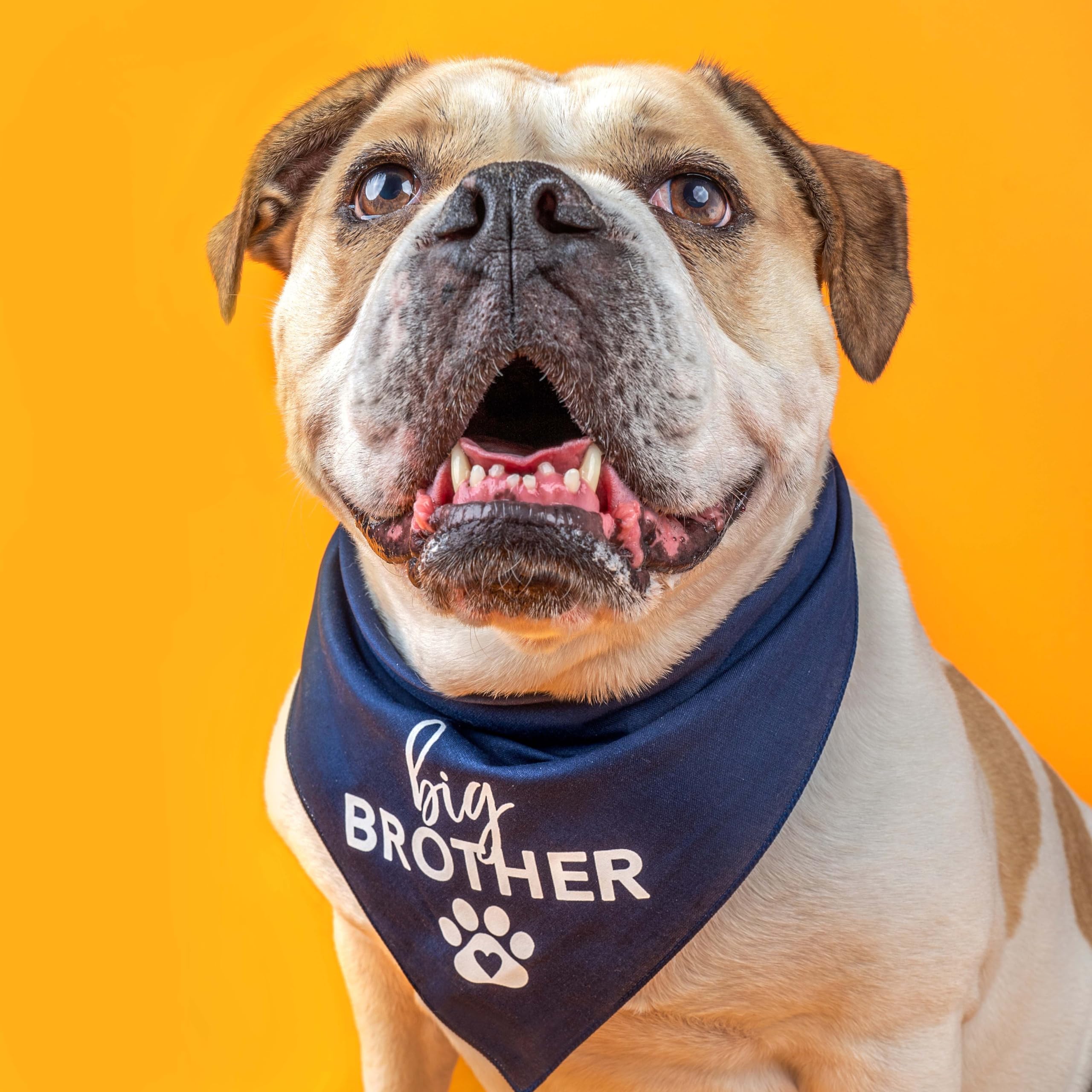 Big Brother With Heart Paw Baby Announcement Dog Bandana (Red, Os 87)