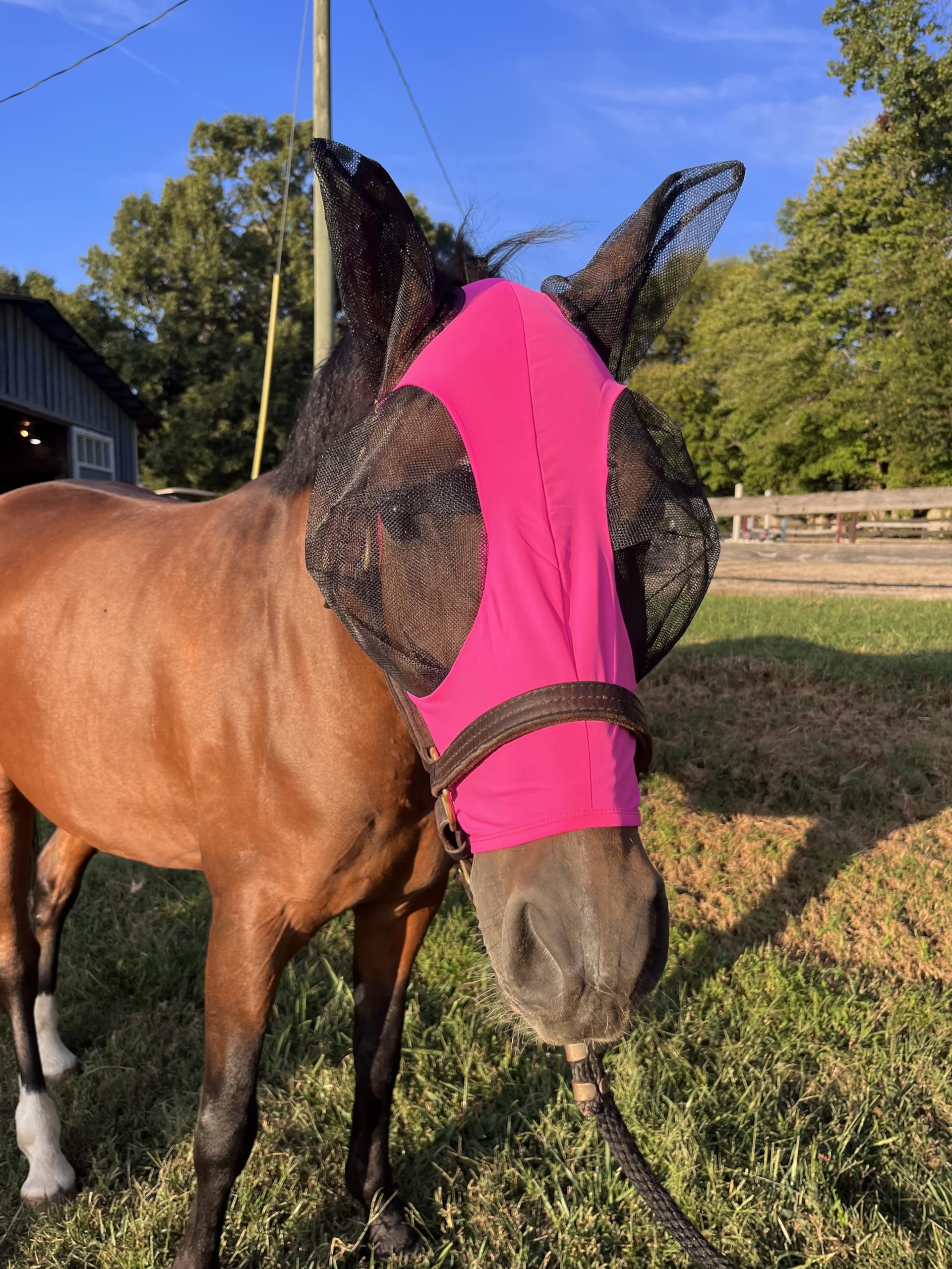 Stretchy Horse Fly Mask with Ears Comfort Fit Mesh Trail Pasture Sun UV Protection (Horse, Pink)