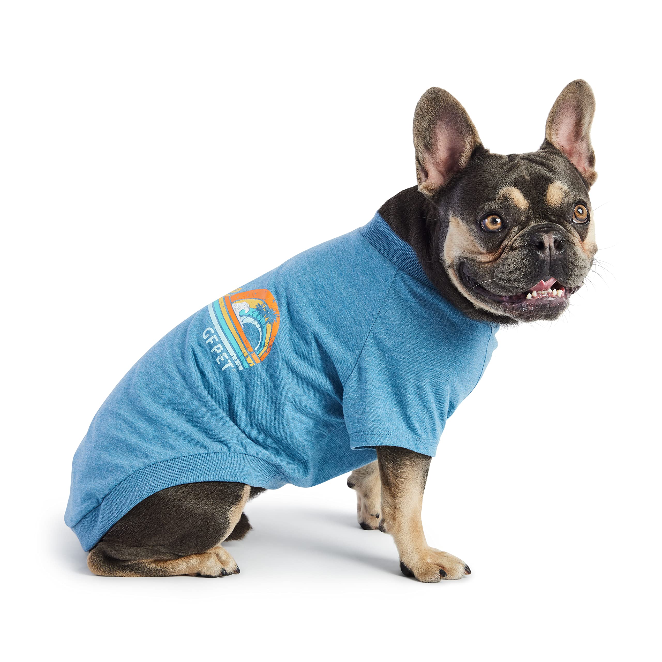 Gf Pet - Graphic Tee Dog T-Shirt (Heather Blue, Large)