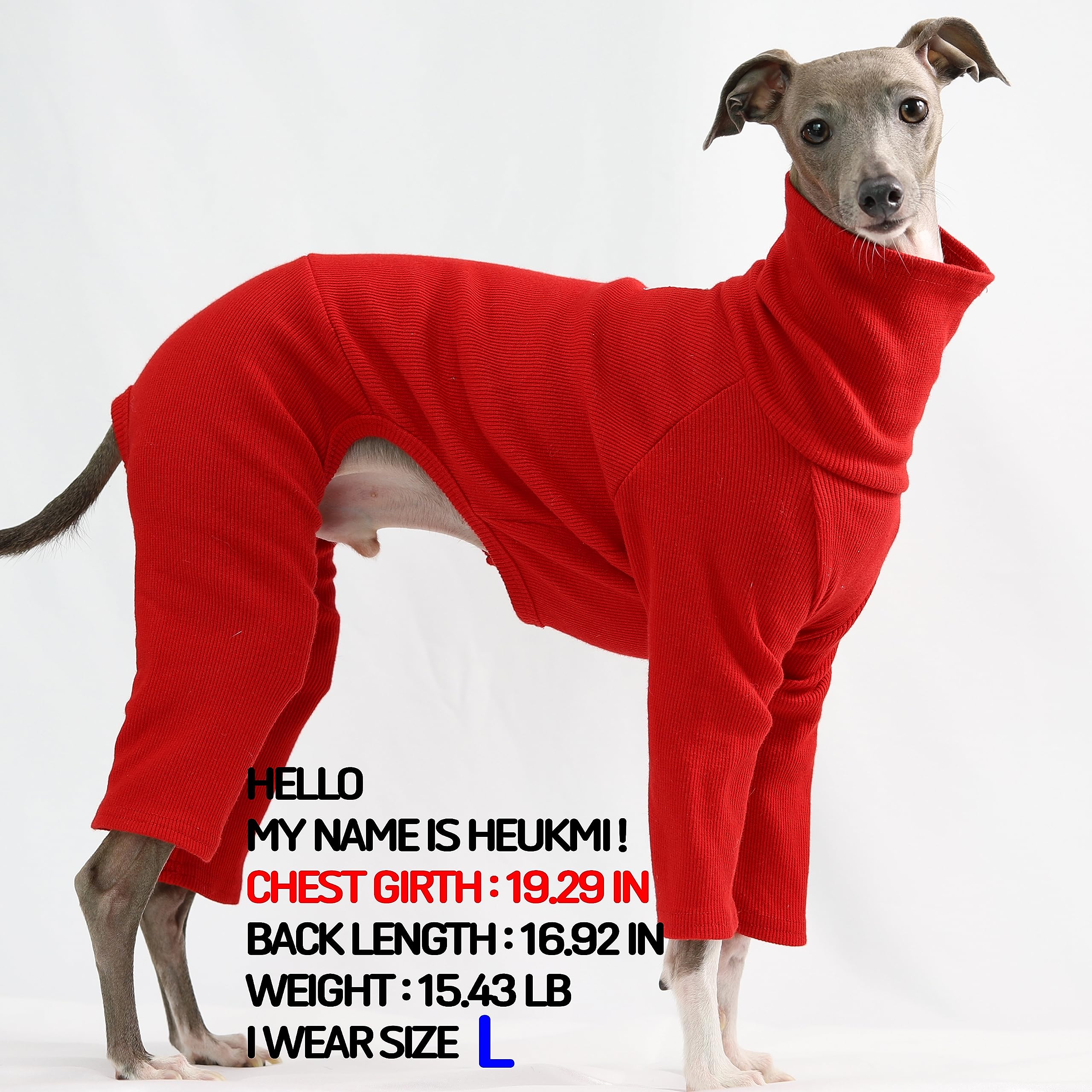 D Doggy Star Italian Greyhound Clothes Stretchable Onesie Whippet For Dog (S,Ribbed Red)