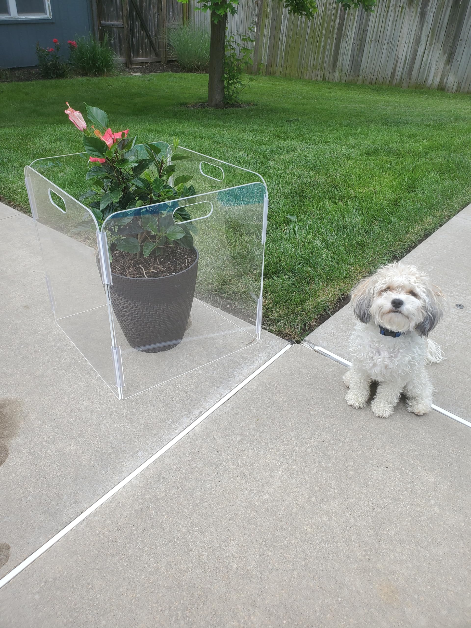 Pet Barrier (3-Panel) | Free-Standing Pet Gate | Foldable | Protect Your Indoor Living Spaces, Decorations, and Important Items
