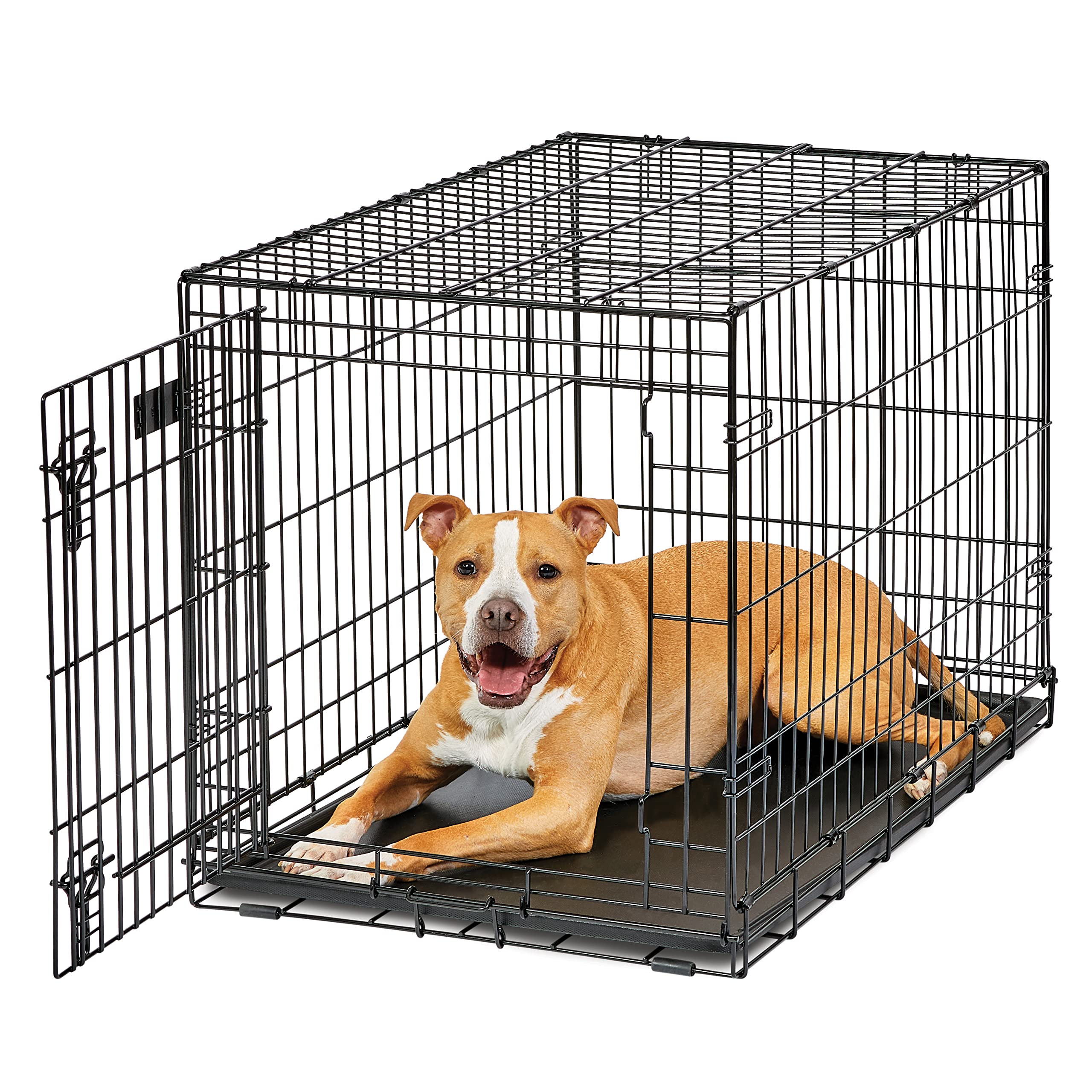 Midwest Homes For Pets Dog Crate | Life Stages 36' Folding Metal Divider Panel, Floor Protecting Feet, Leak-Proof Pan 36L X 23W 25H Inches, Intermediate Breed, Black