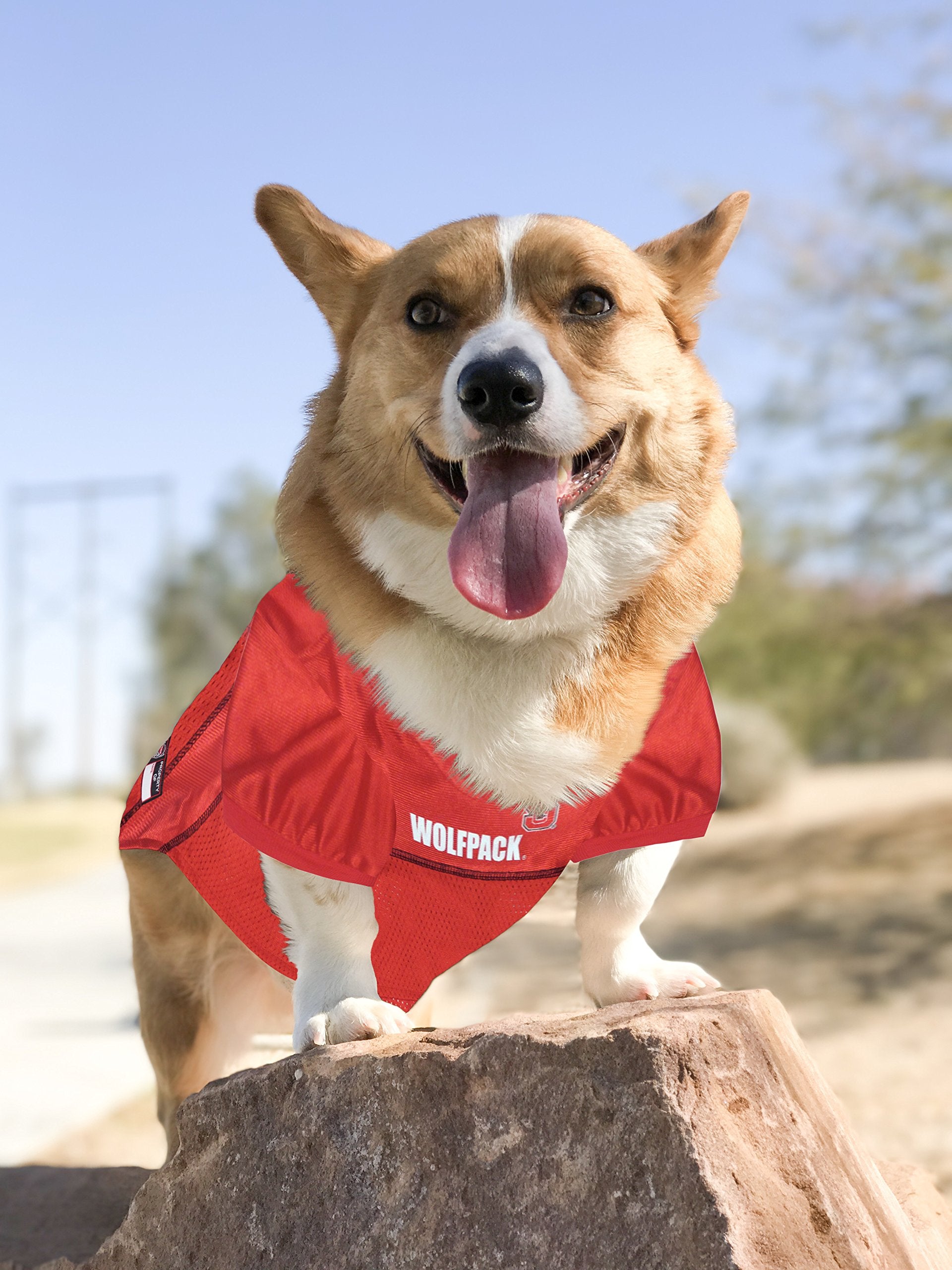 Pets First NCAA College North Carolina State Wolfpack Mesh Jersey for DOGS & CATS, Medium. Licensed Dog Jersey with your Favorit