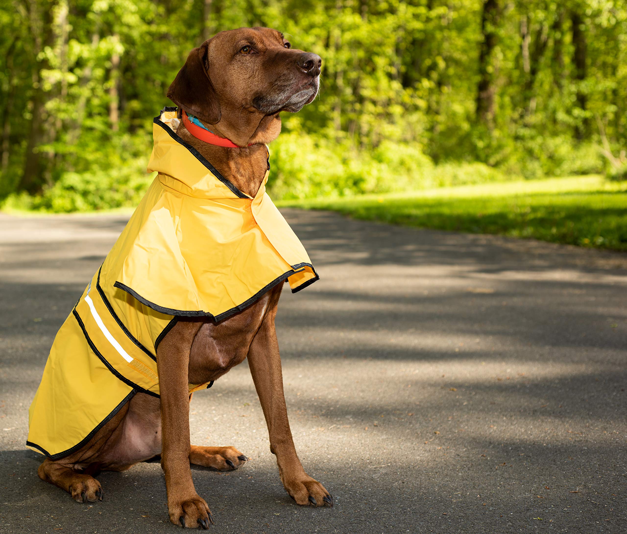 SWT LG YELLOW RAIN SLICKER 560YLG