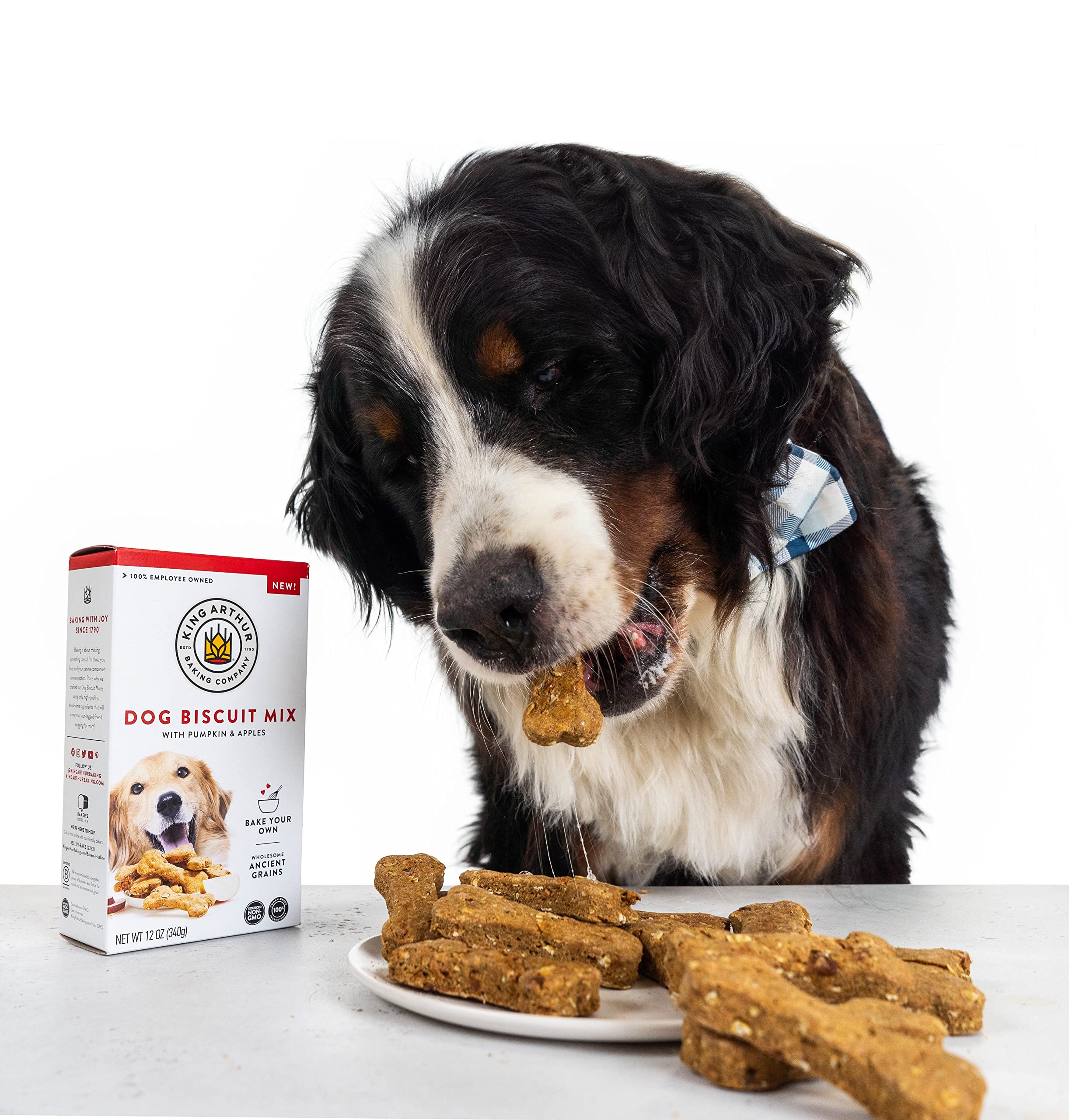 King Arthur Dog Biscuit Mix, Pumpkin & Apple, Homemade Dog Treats, 12oz