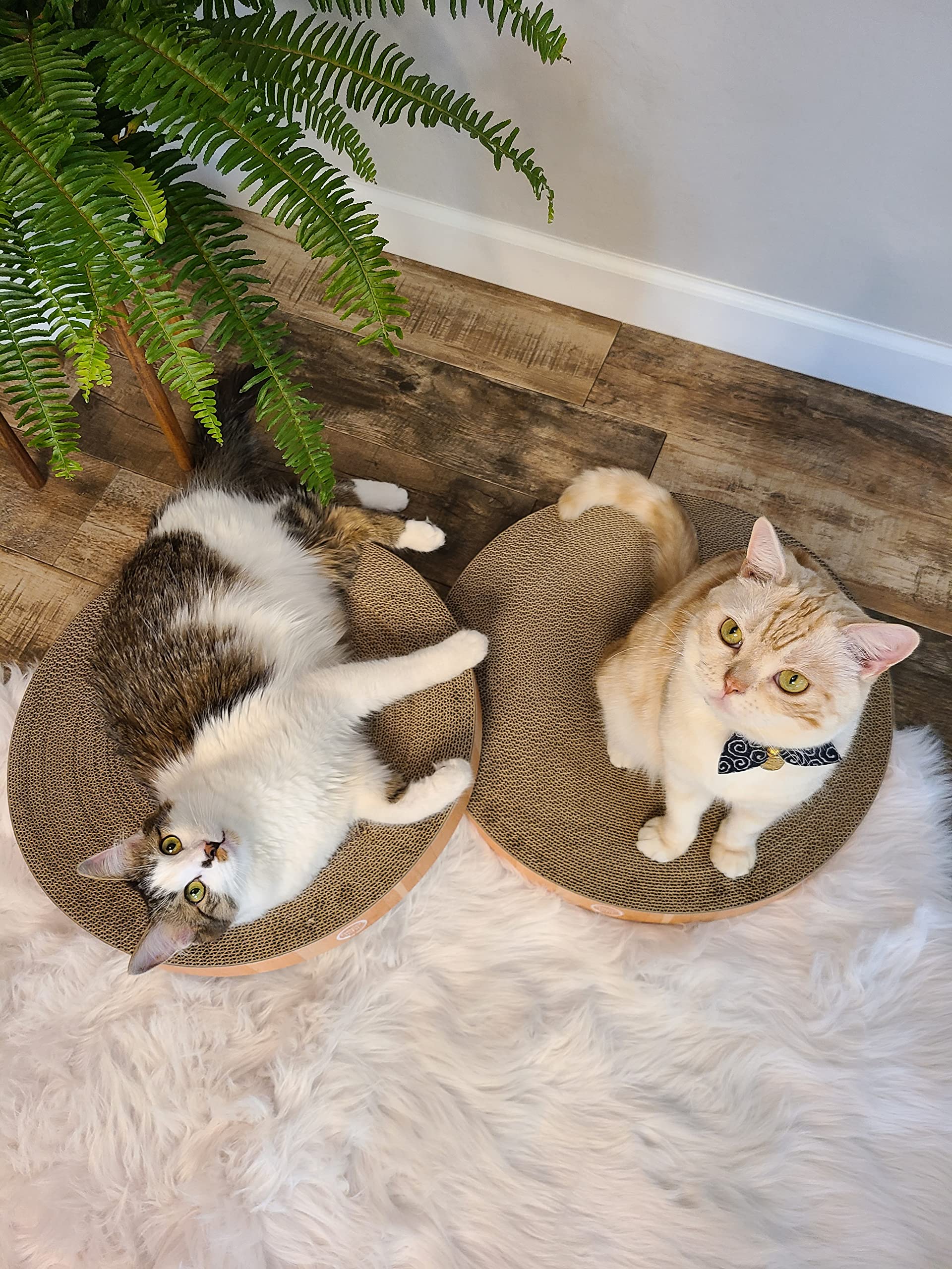 Necoichi Cat Scratcher Bowl Replacement For Indoor Cats - Cat Scratching Lounger With Reversible Usability And Extra Comfort For Lounge, Cardboard Bed Couch / (Regular, Oak)