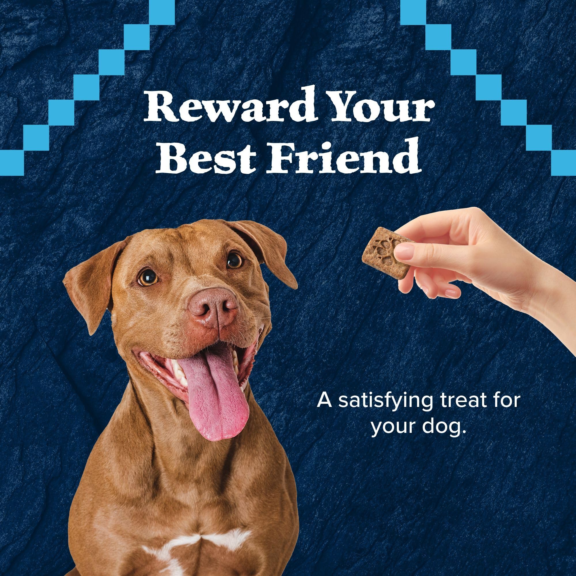 Blue Buffalo Wilderness Trail Treats Crunchy Dog Biscuits, Grain-Free and High-Protein Dog Treats Made with Natural Ingredients,