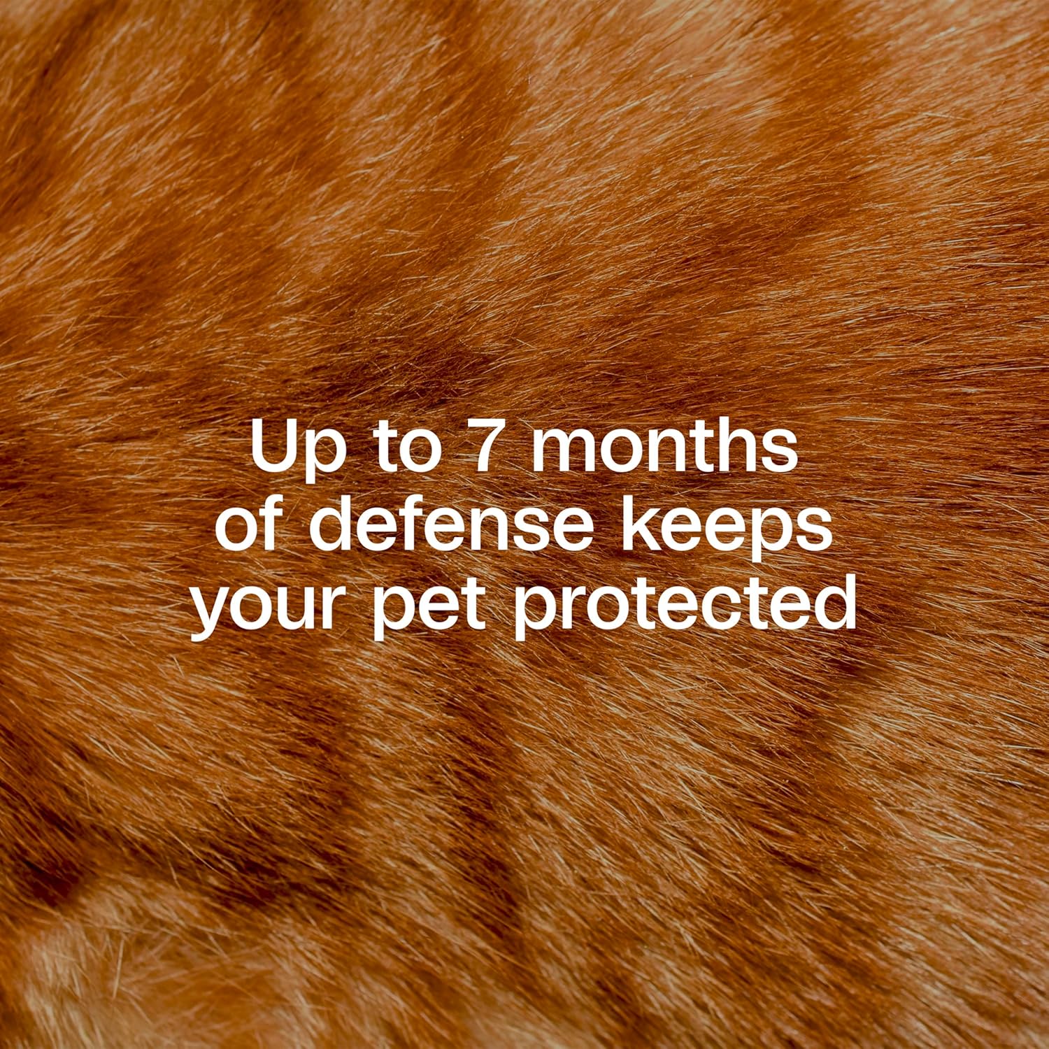 Adams Plus Flea & Tick Collar for Cats Water-Resistant Up to 7 Months Protection 2PCK