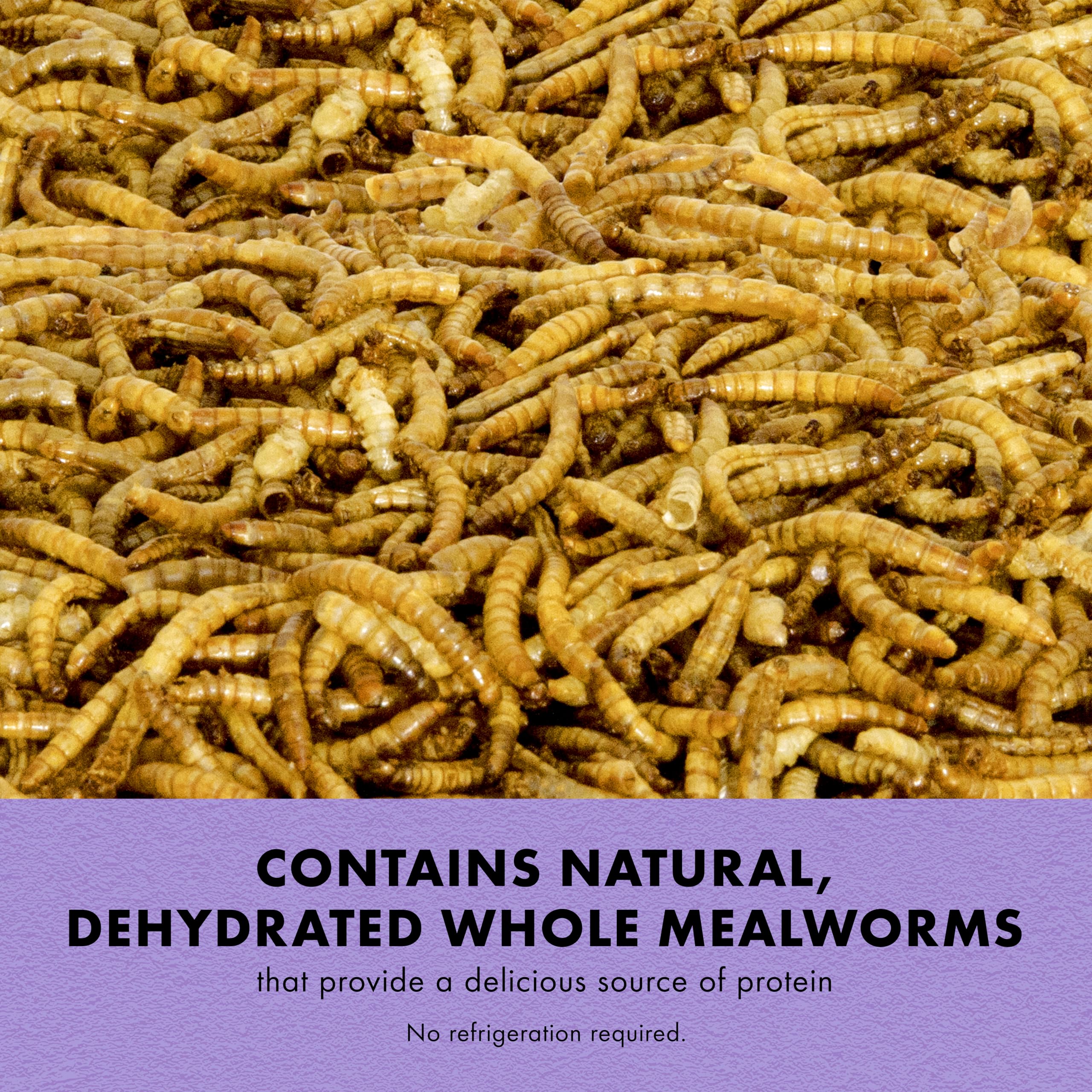 Zilla Reptile Munchies, Mealworms, All-Natural, Dehydrated Mealworms, Ideal for Bearded Dragons, Leopard Geckos, Chameleons and