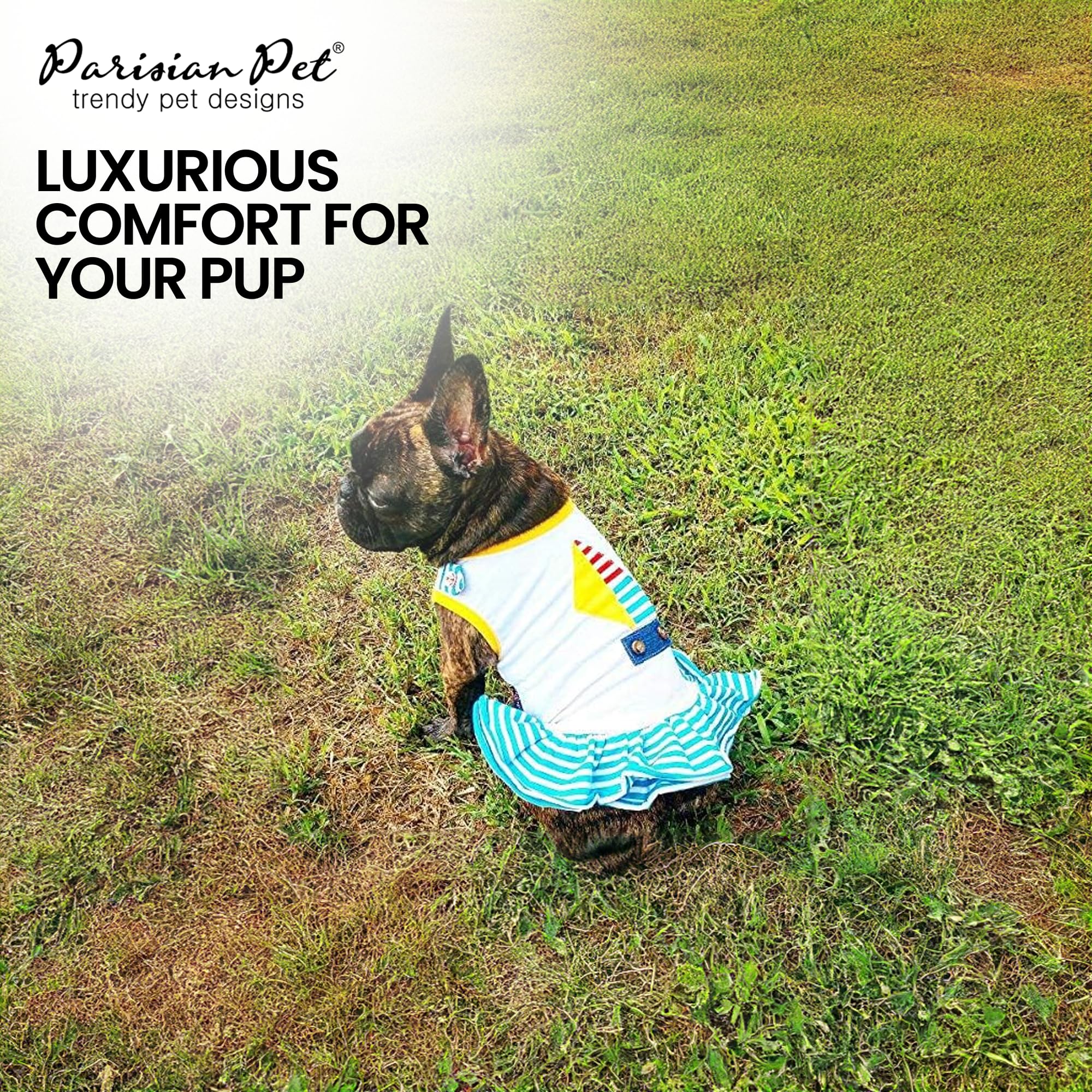 Parisian Pet Boat Dog Dress