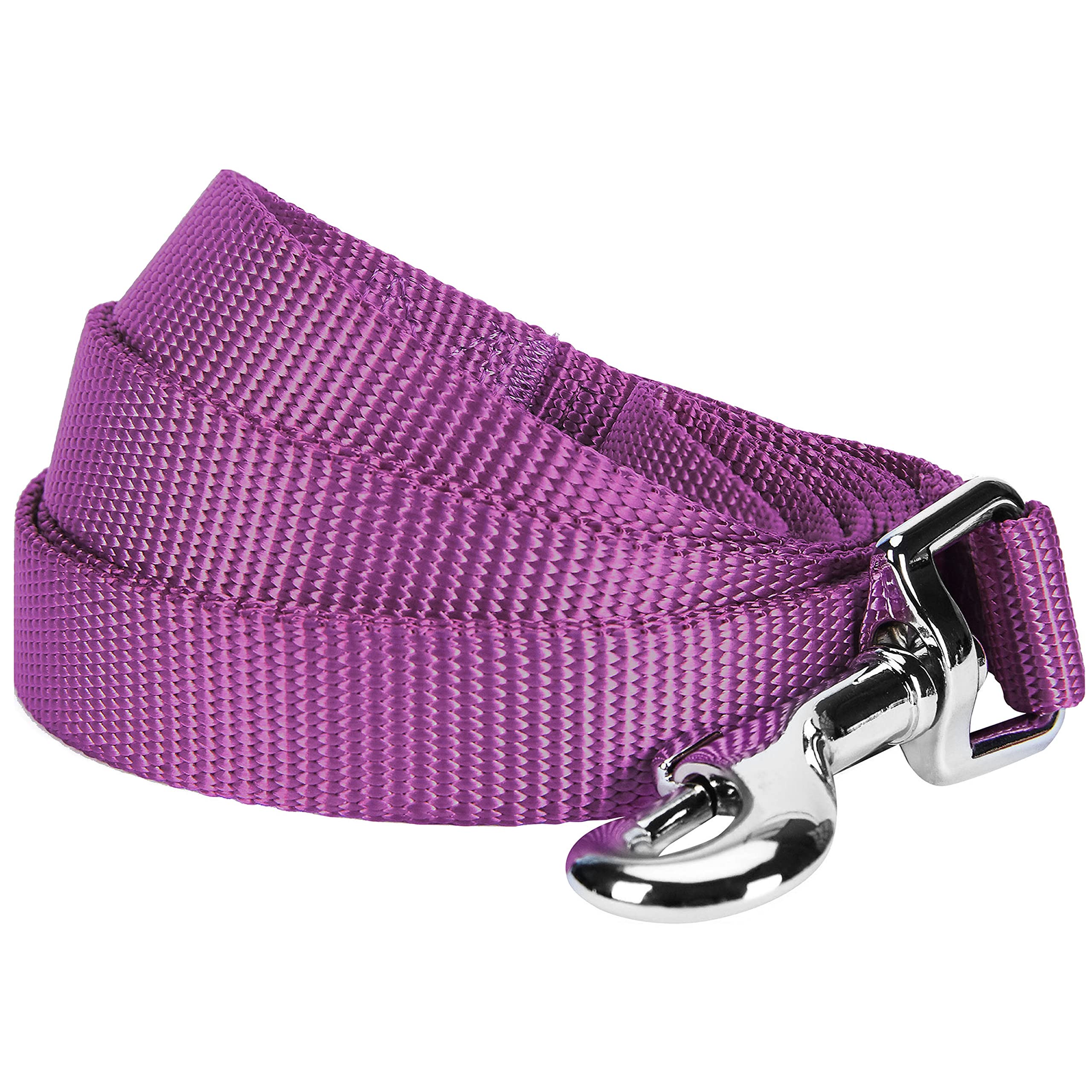 Blueberry Pet Essentials 21 Colors Durable Classic Dog Leash 5 Ft X 3/4', Violet, Medium, Basic Nylon Leashes For Dogs