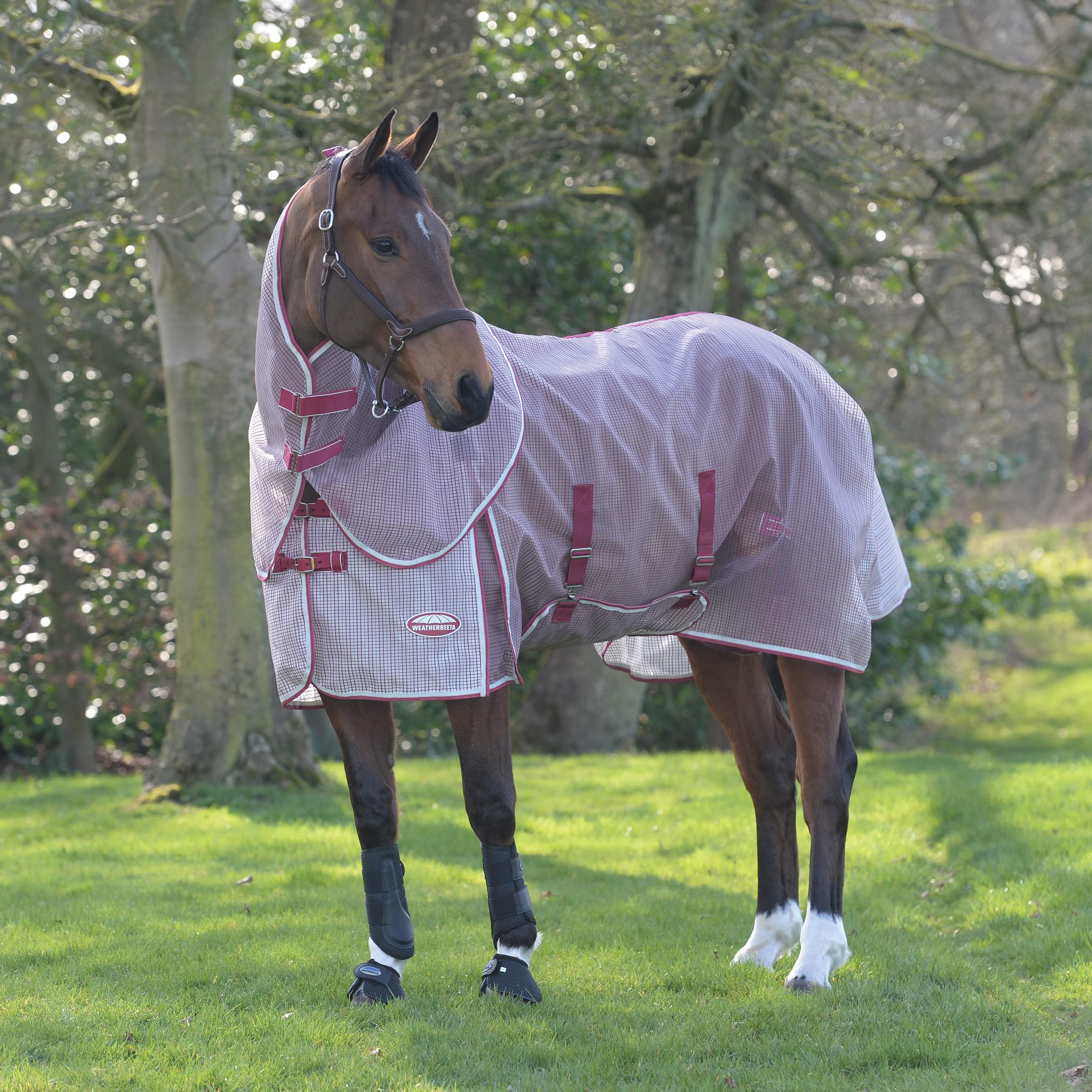 Weatherbeeta Comfitec Ripshield Plus With Belly Wrap Detach A Neck, White/Burgundy, 81''