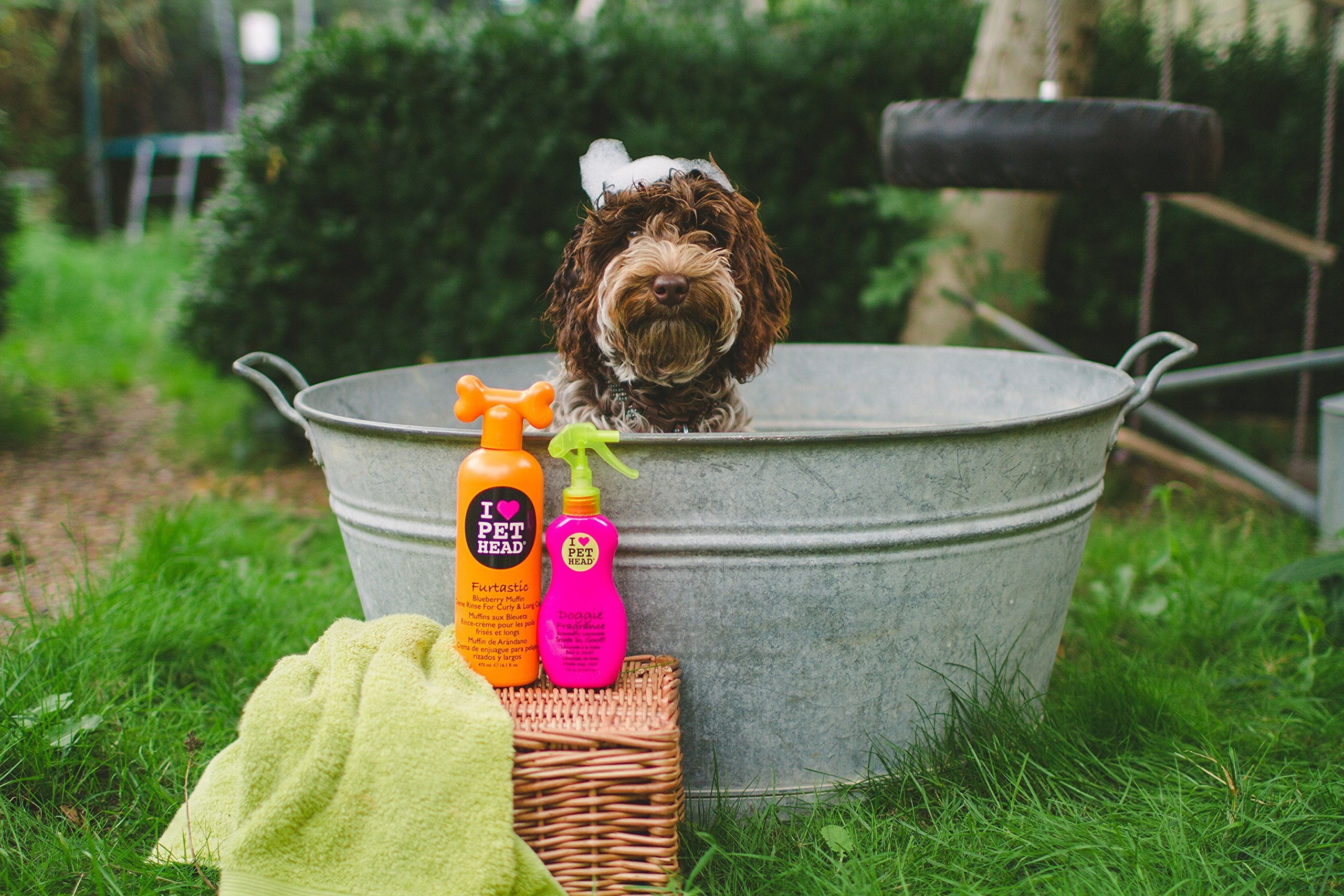 The Company of Animals Fetch for Pets Dry Clean Spray, 15.2oz, Blueberry Muffin, Multi-colored - Pet Cleaning Solution