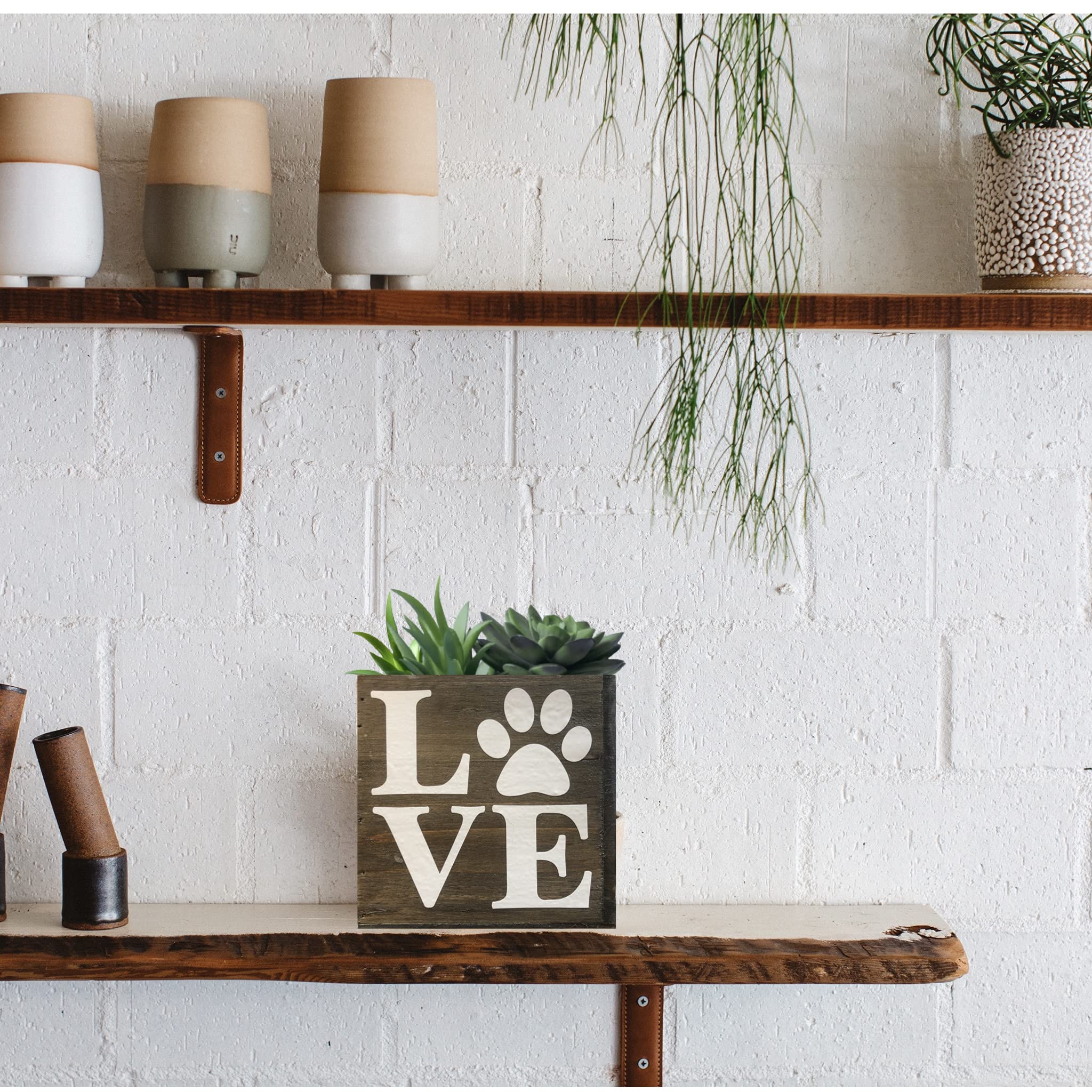 Paw Love Succulent Planter, Cute Gift For Cat And Dog Lovers, Veterinarian, Decorative Bin (5 Square Inches, Natural Brown Wood)