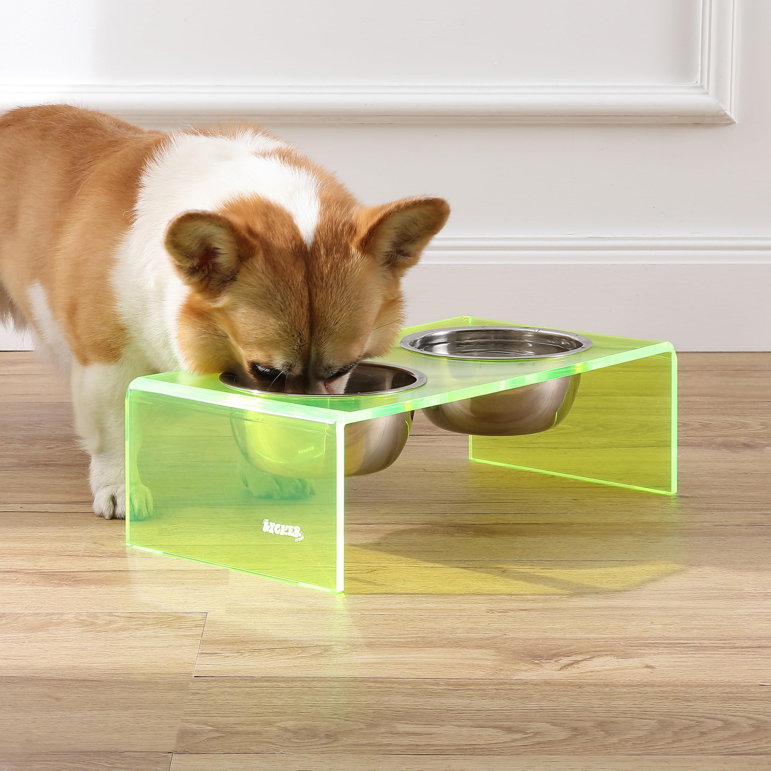 The LICKER Store DBL2000G Keaton 5 Small/Medium Modern Acrylic Rectangular Elevated Pet Feeder with 20oz 2-Stainless Steel Bowls