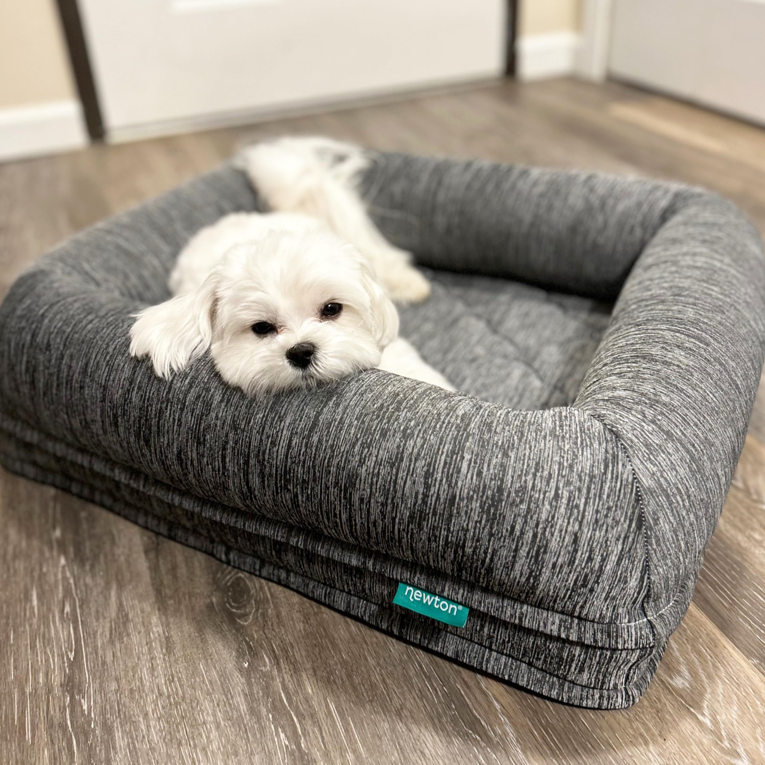 Newton Orthopedic Pet Bed - Washable Bed For Small Dogs, Puppy Bed, Crate, With Removable & Breathable Dog Bed Cover, Comfy & Du