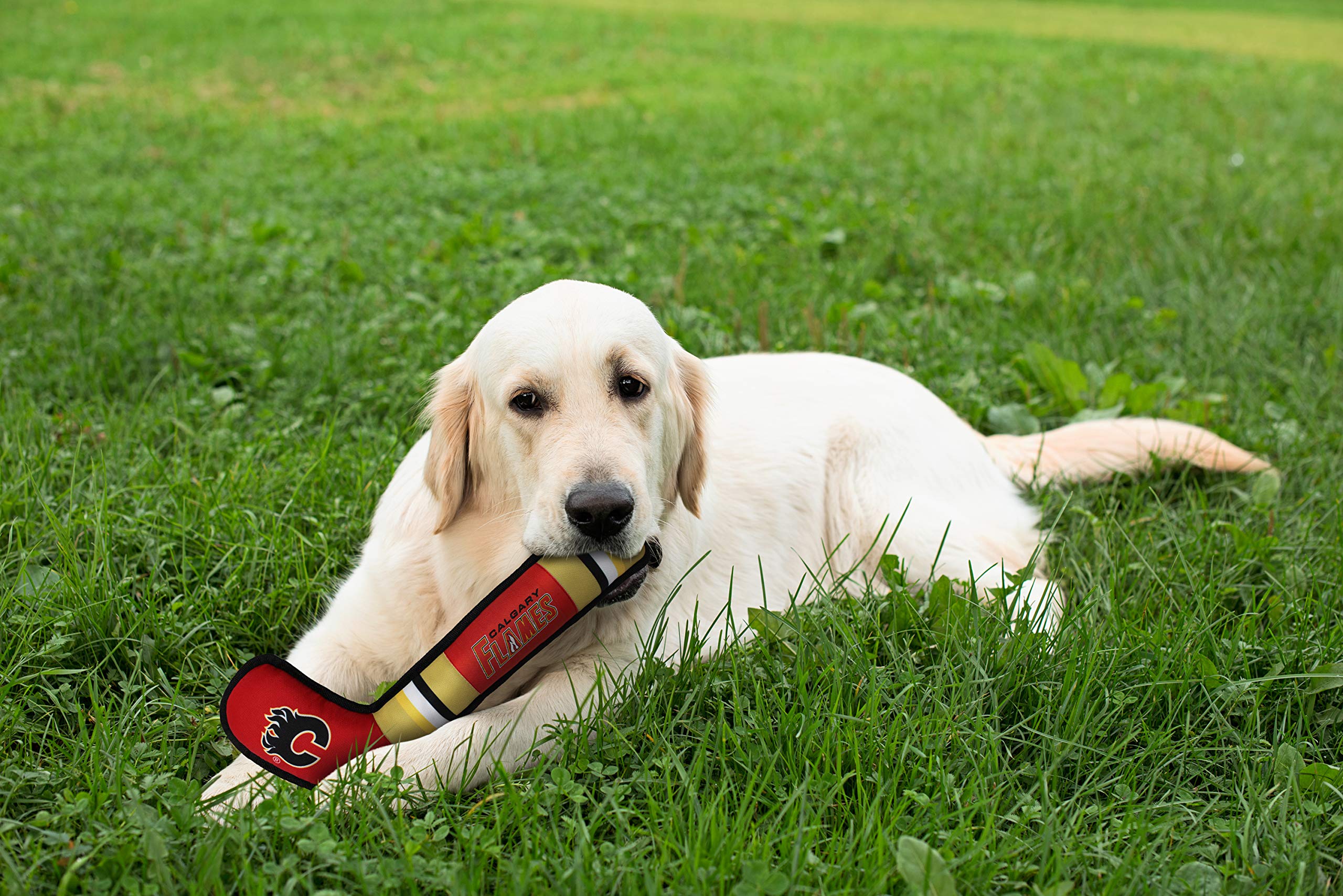 Pets First Cgy-3232 Pet Toy