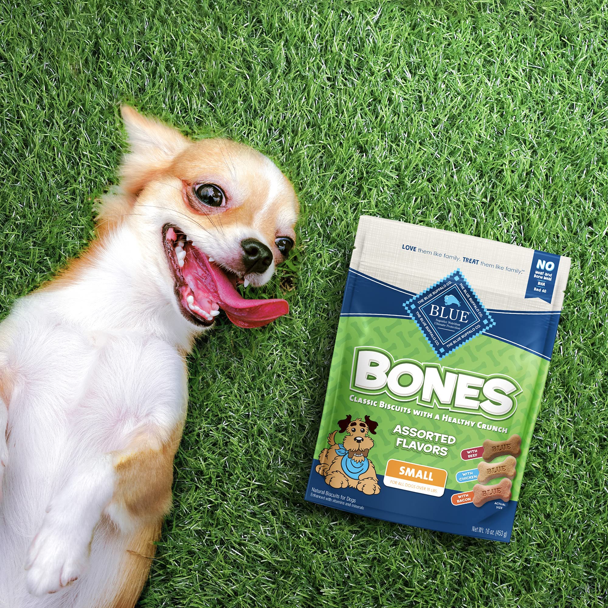 Blue Buffalo Bones Small Natural Dog Treats, Crunchy Dog Biscuits, Assorted Flavors - Beef, Chicken, Bacon Flavors, 16-oz. Bag (
