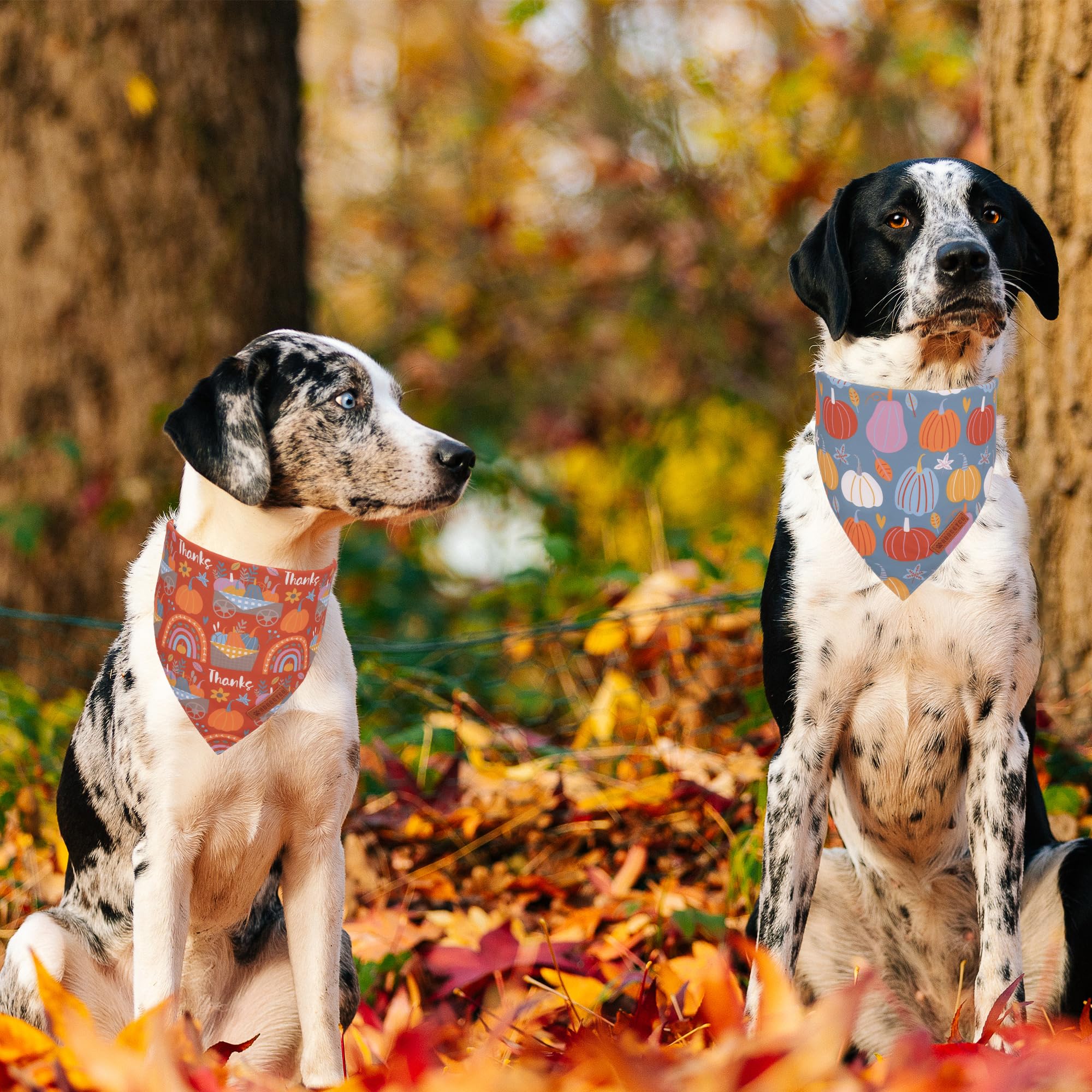 ADOGGYGO Thanksgiving Dog Bandana, Blue Orange Pumpkin Dog Scarf, Adjustable Fit Dog Fall Thanksgiving Bandanas for Large X-Larg