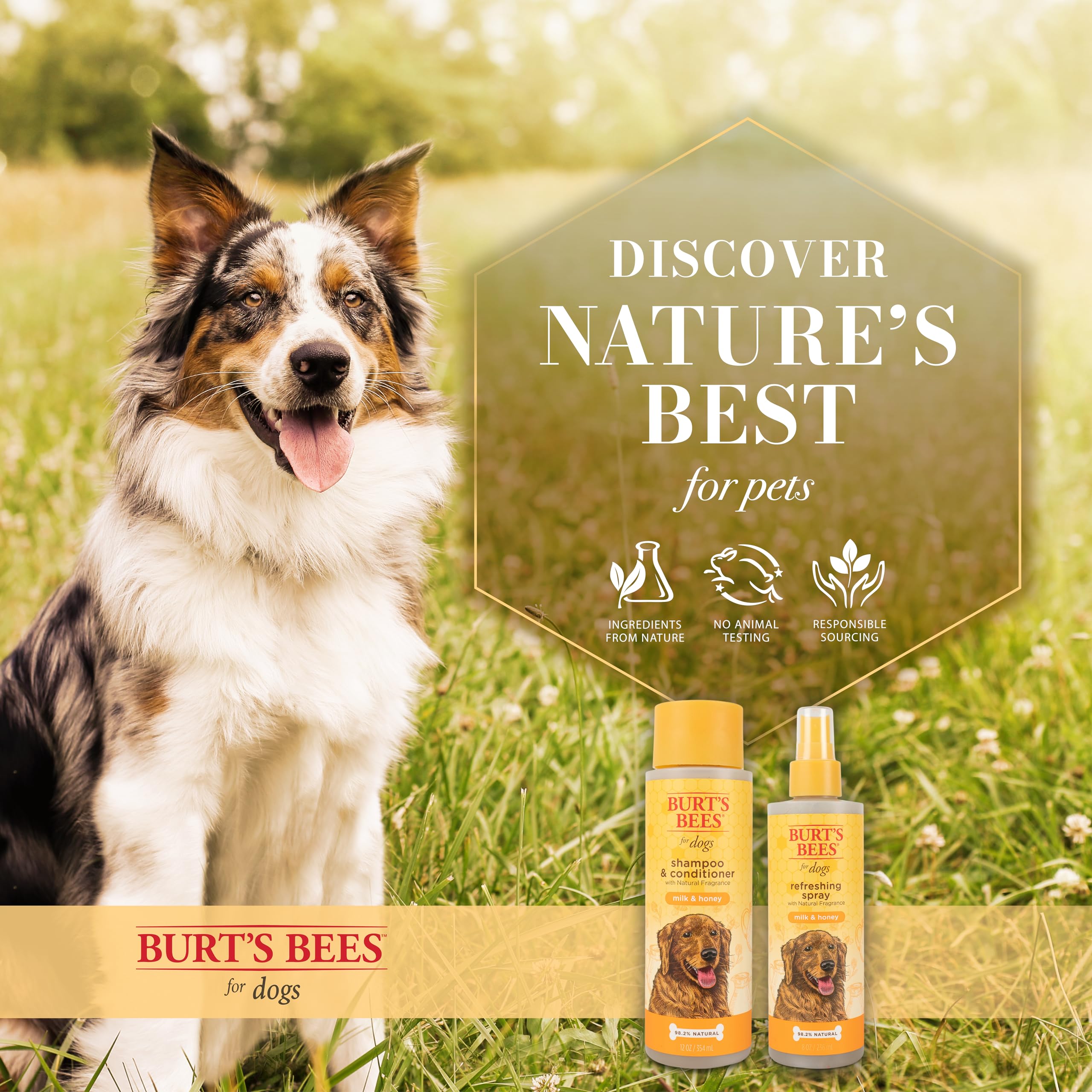 Burt'S Bees For Pets Refreshing Spray For Dogs With Milk And Honey, 98.2% Natural Origin Formulas, Waterless Dog Shampoo - Gentl