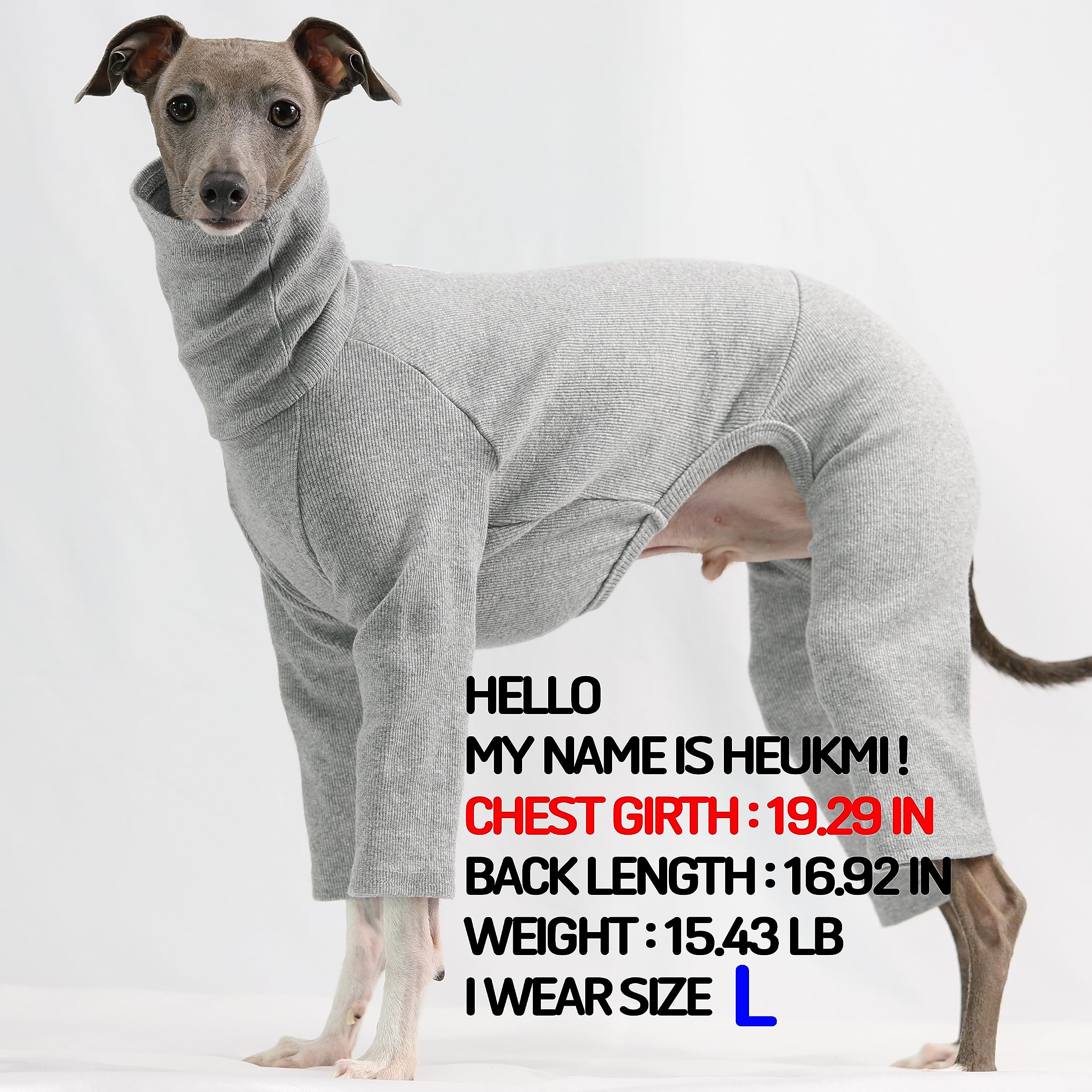 D Doggy Star Italian Greyhound Clothes Stretchable Onesie Whippet For Dog (S,Ribbed Grey)