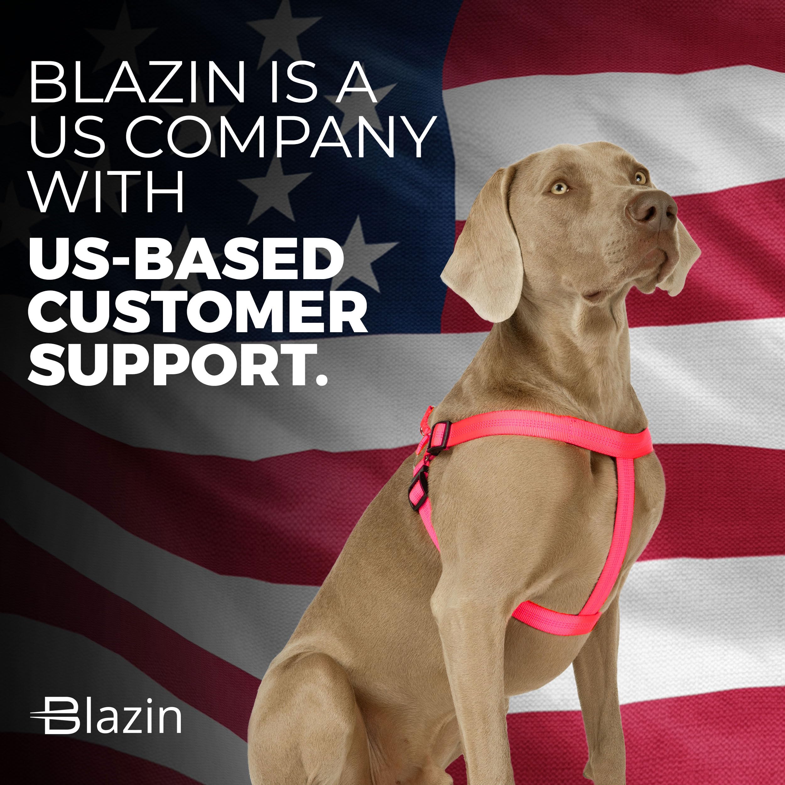 Blazin No Pull Dog Harness - Adjustable Step-In Reflective Nylon Vest Harness - Neoprene Padded For Extra Comfort (Medium, Pink)