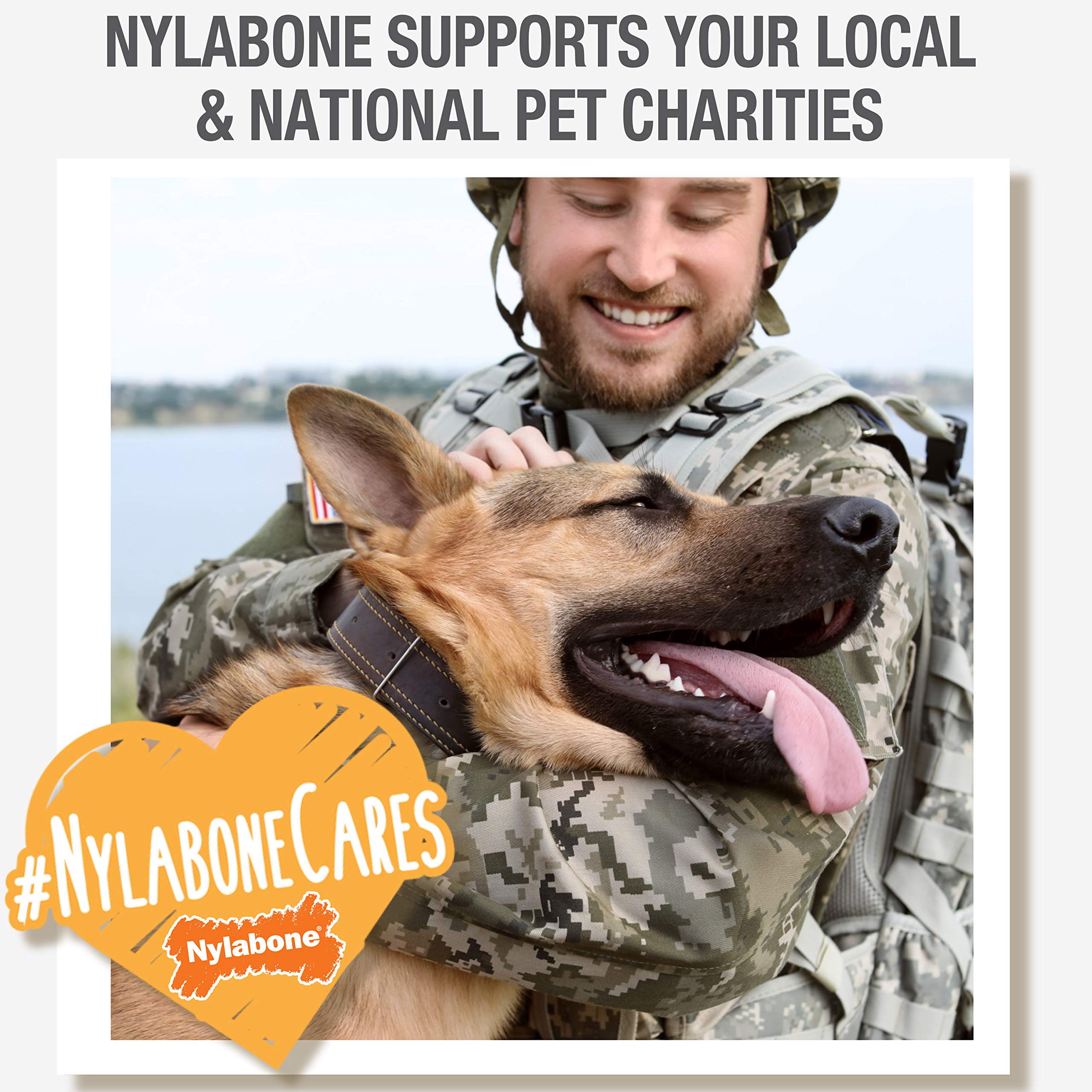 Nylabone Nubz Wild Natural Edible Chew Treats for Dogs, Made in USA, Bison Flavor, X-Large - 50+ lbs. (1 Count)