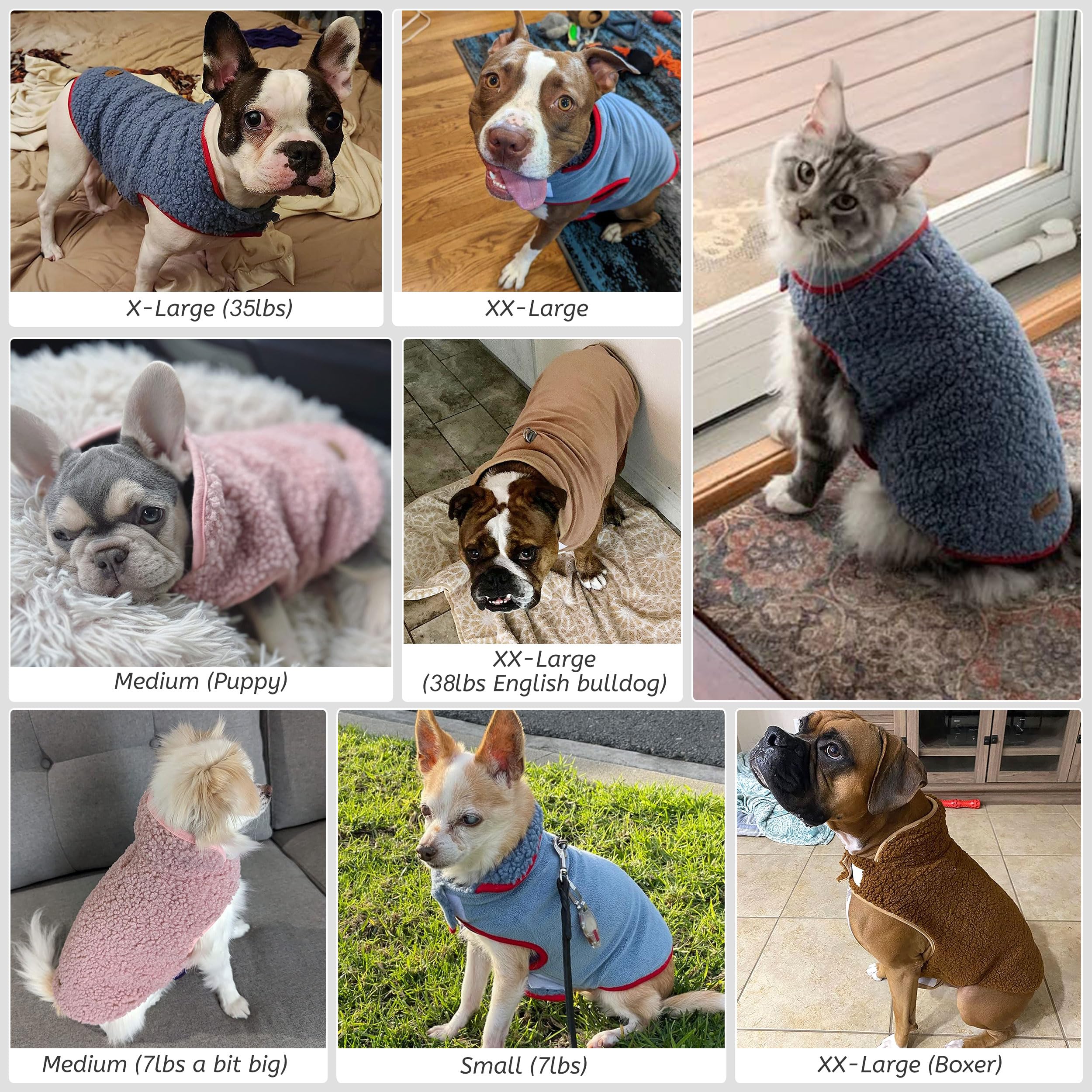 Cyeollo Reversible Dog Jacket - Winter Fleece Sweater & Sherpa Vest For Small Dogs & Cats, Blue L